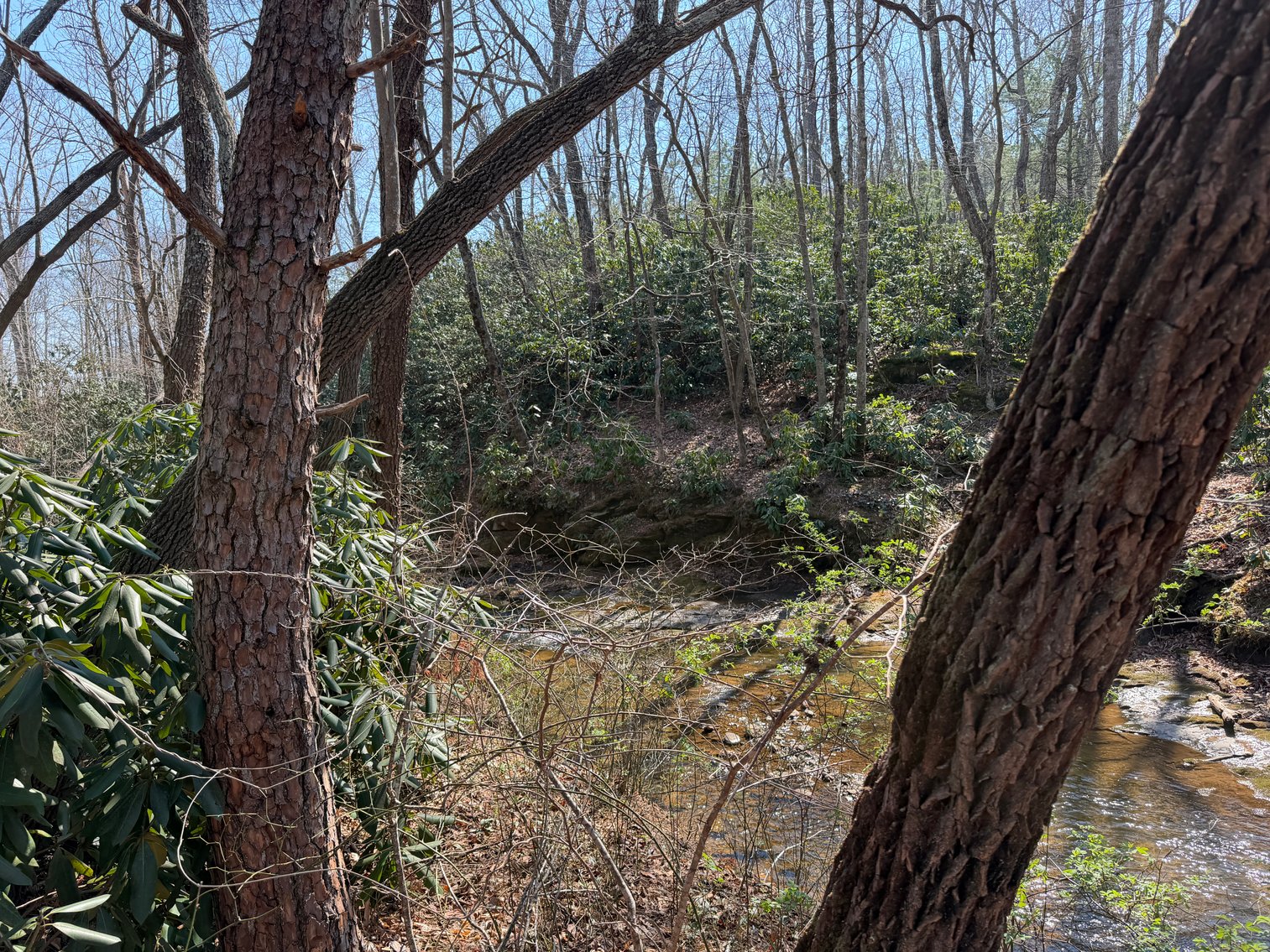 Image for Land For Sale in Lowgap, NC - TBD Old MIll Road