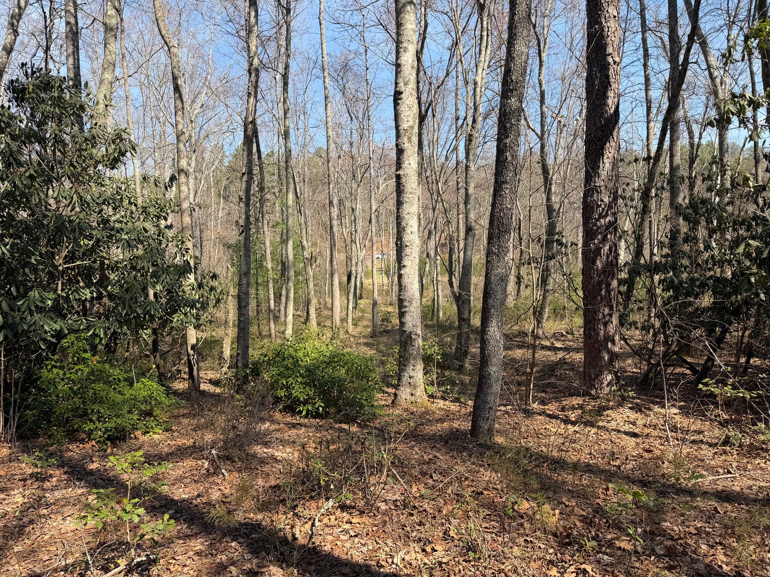 Image for Land For Sale in Lowgap, NC - TBD Old MIll Road