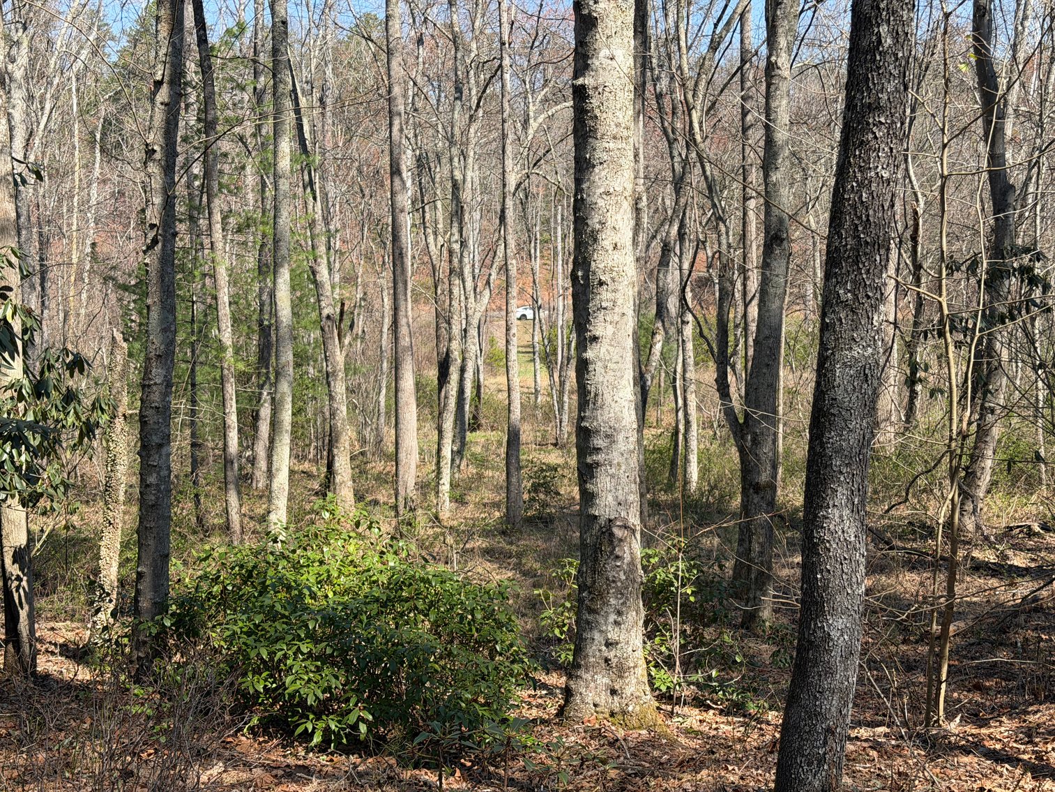 Image for Land For Sale in Lowgap, NC - TBD Old MIll Road