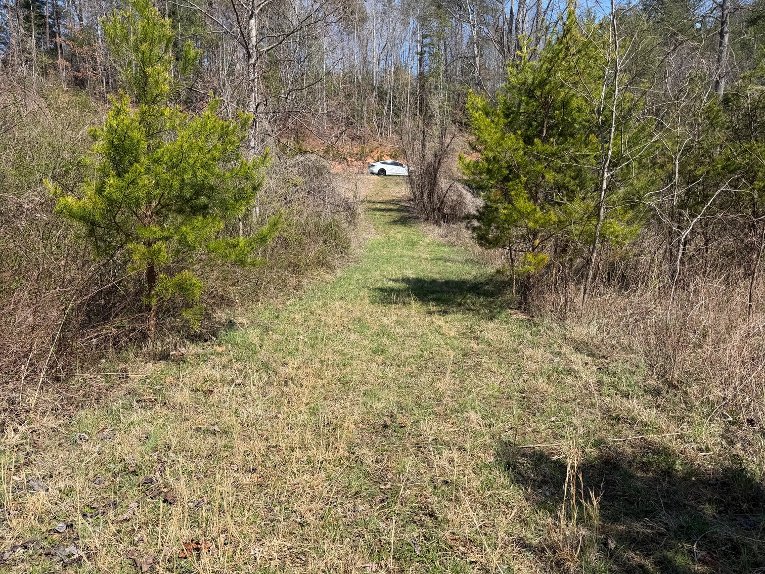 Image for Land For Sale in Lowgap, NC - TBD Old MIll Road
