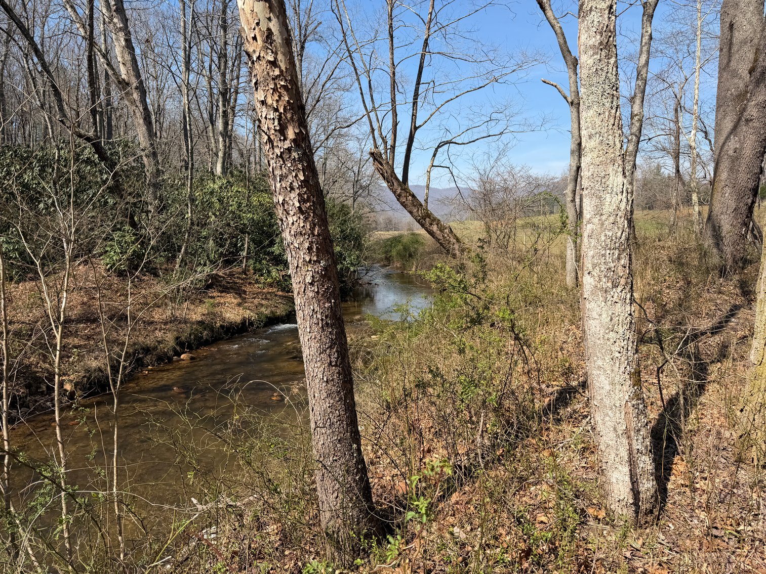 Image for Land For Sale in Lowgap, NC - TBD Old MIll Road
