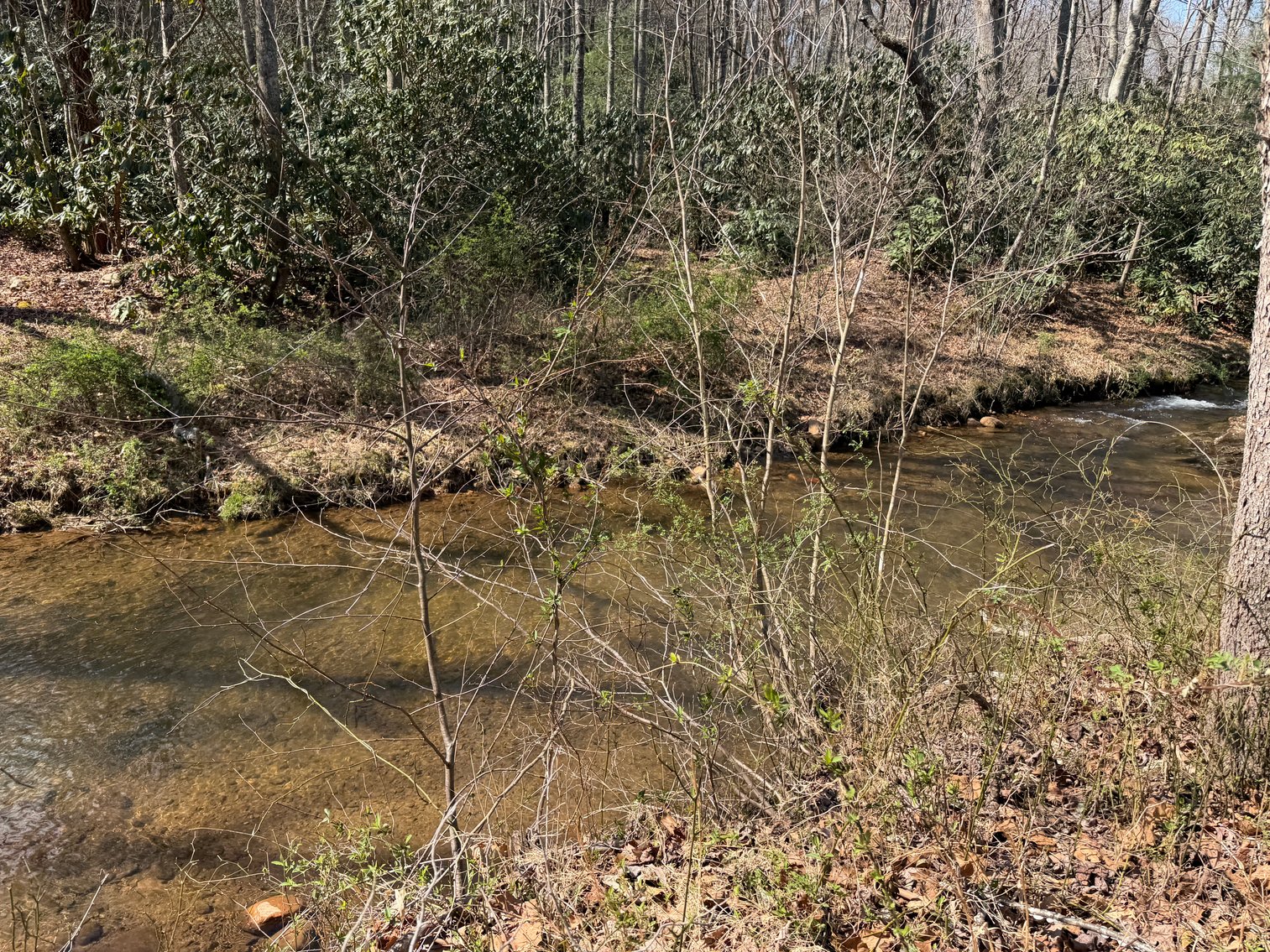 Image for Land For Sale in Lowgap, NC - TBD Old MIll Road