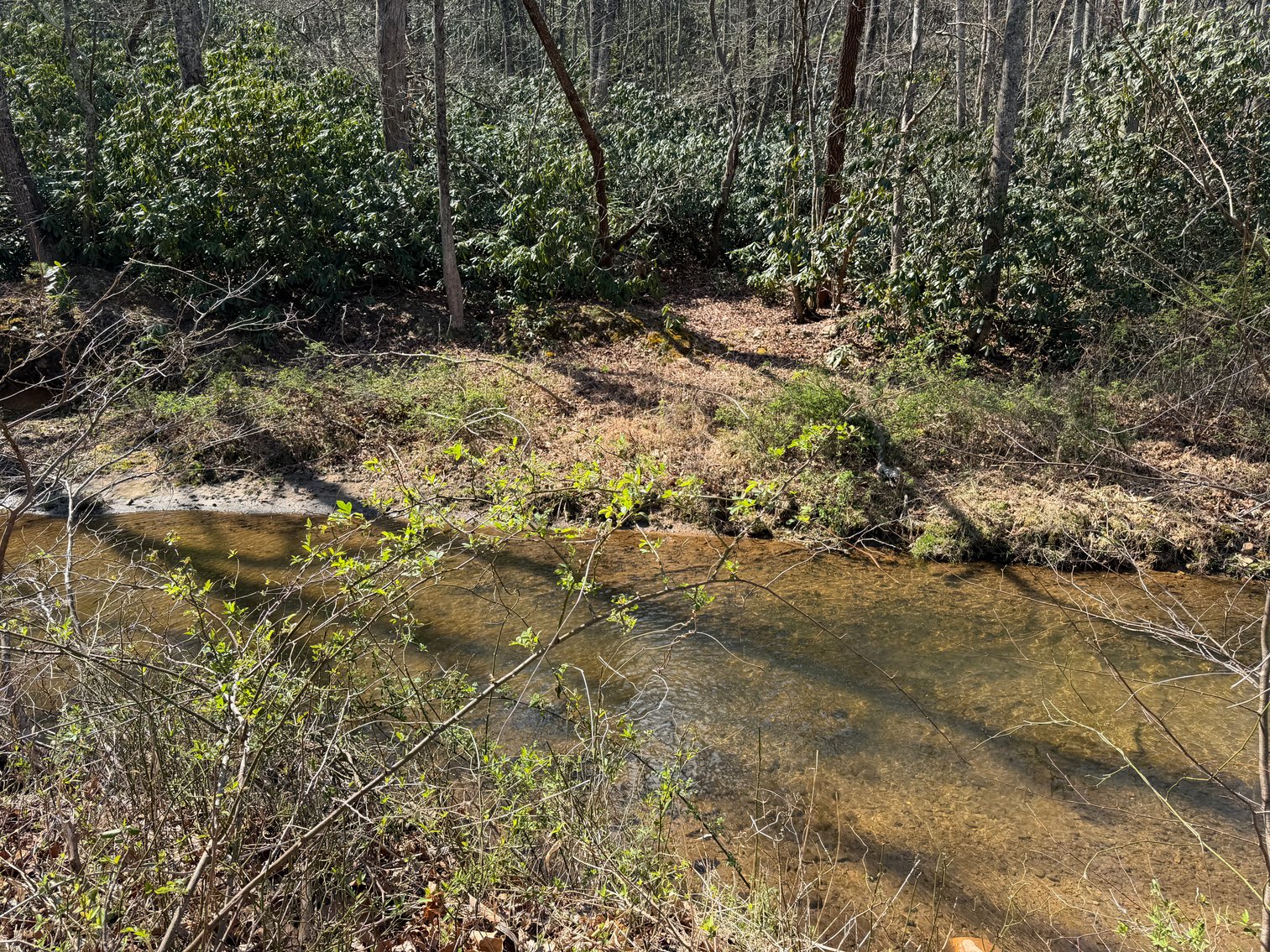 Image for Land For Sale in Lowgap, NC - TBD Old MIll Road