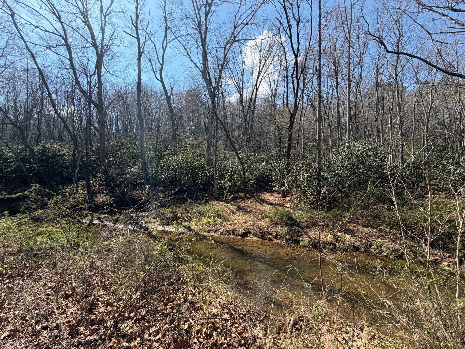 Image for Land For Sale in Lowgap, NC - TBD Old MIll Road
