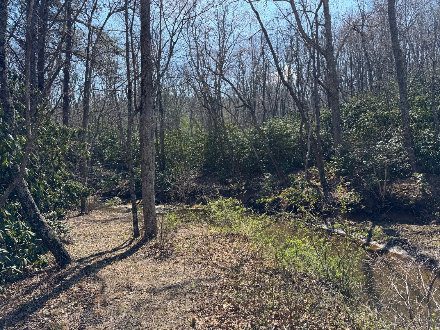 Image for Land For Sale in Lowgap, NC - TBD Old MIll Road