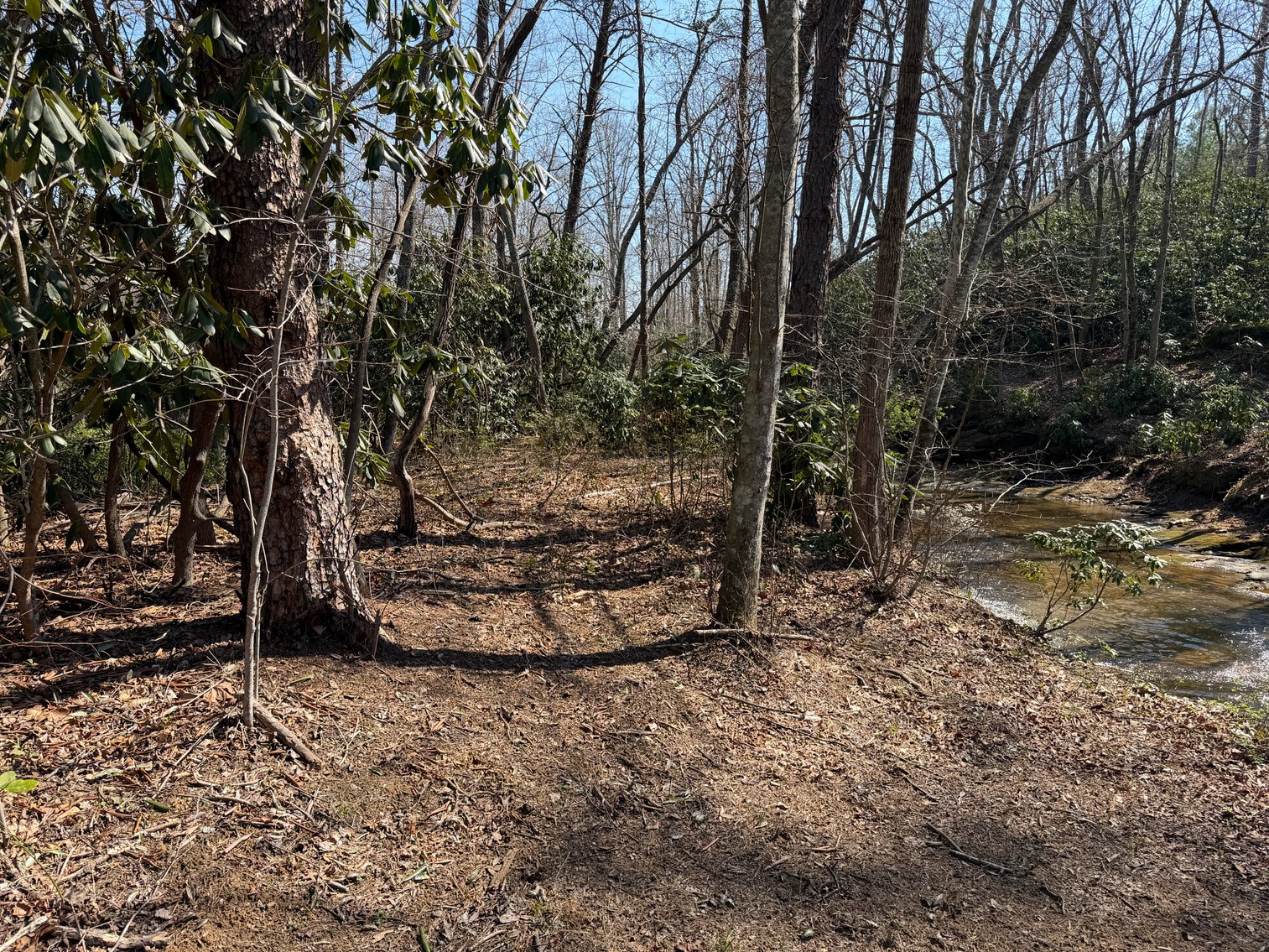 Image for Land For Sale in Lowgap, NC - TBD Old MIll Road
