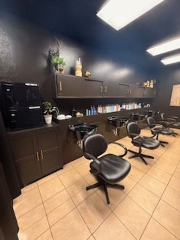 Image for Salon and Tanning Liquidation