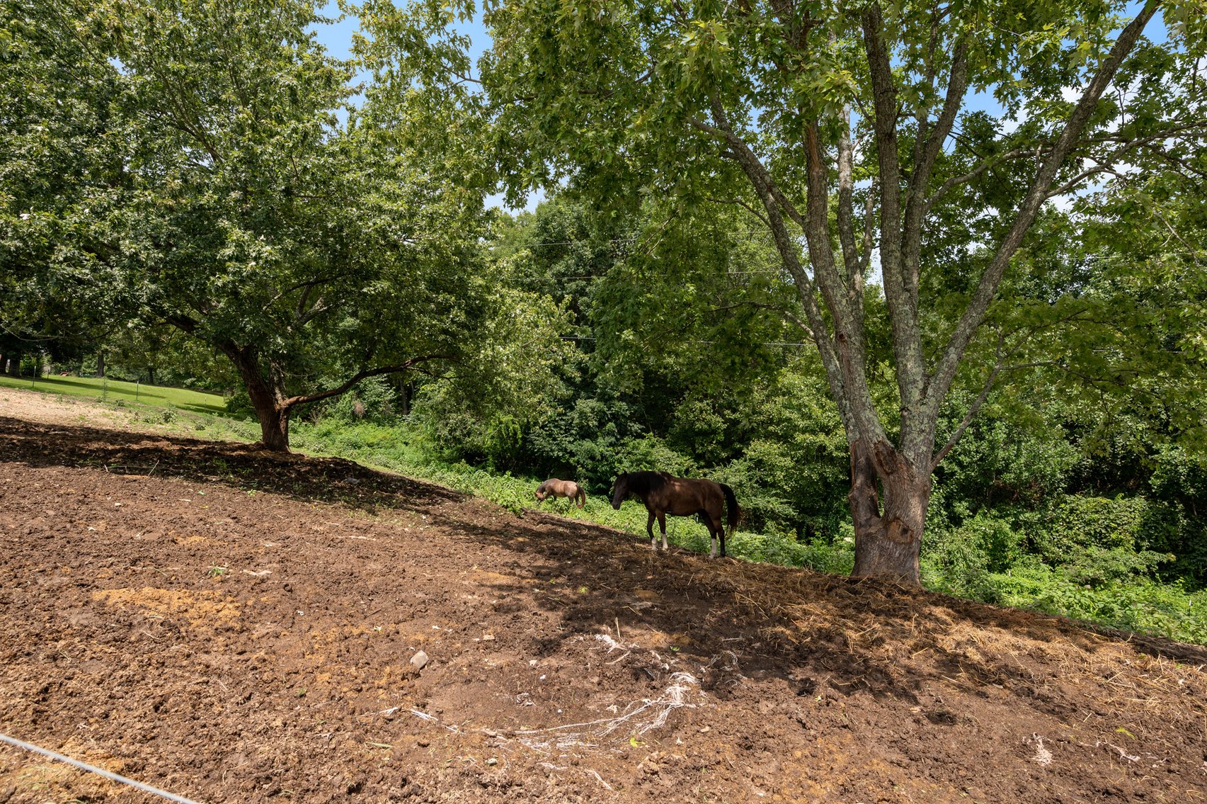 Image for 328 Knox Ridge, Woodbury