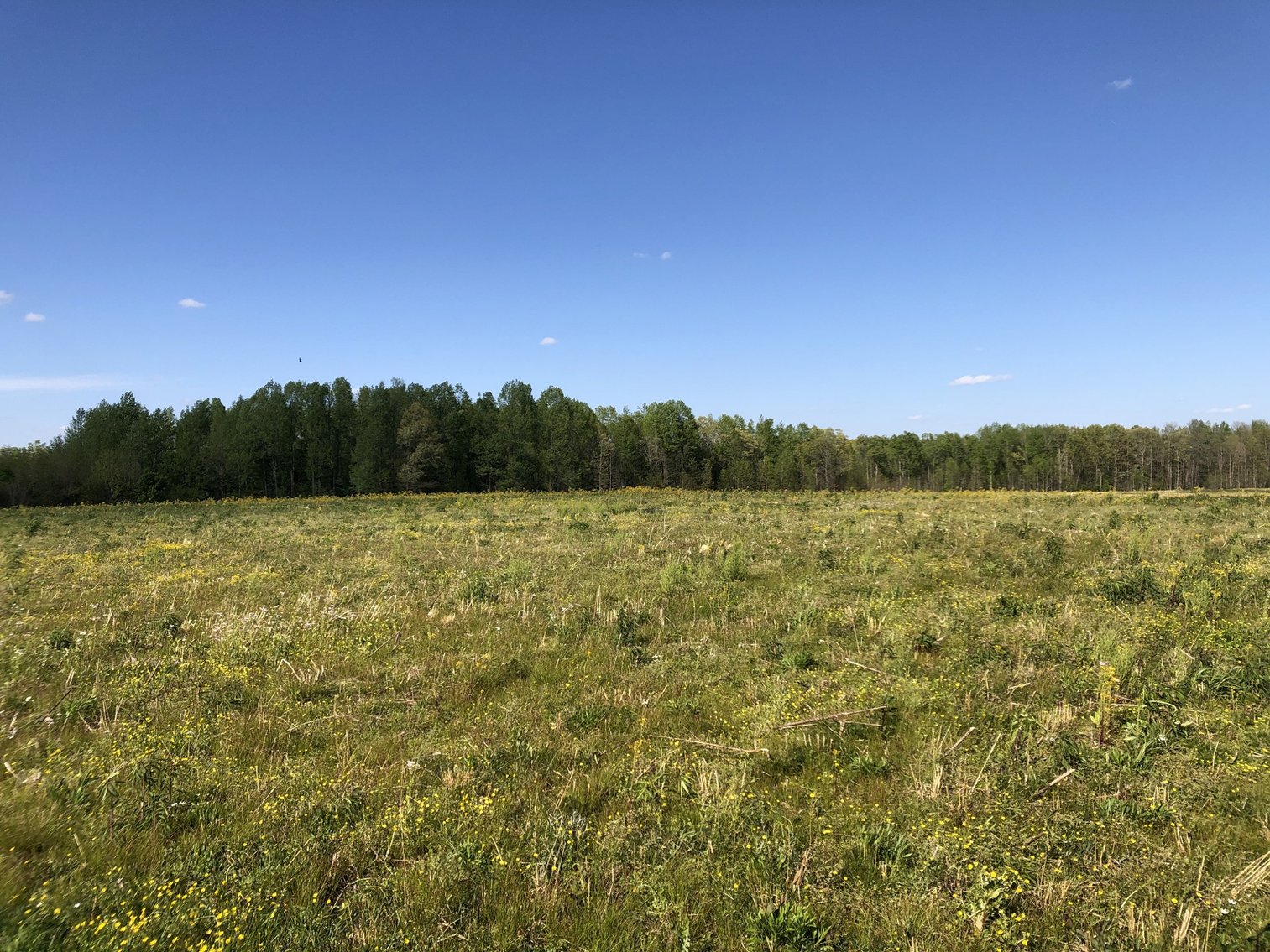 Image for Tract #3 Espy Road, Manchester