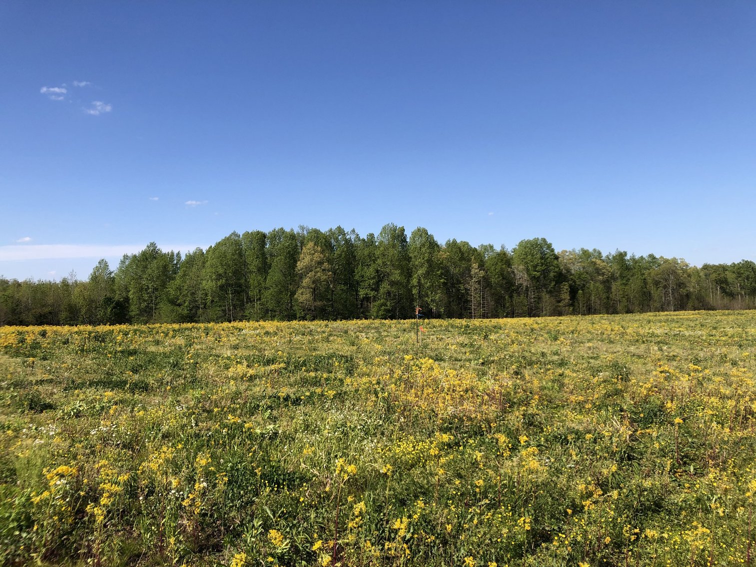 Image for Tract #3 Espy Road, Manchester