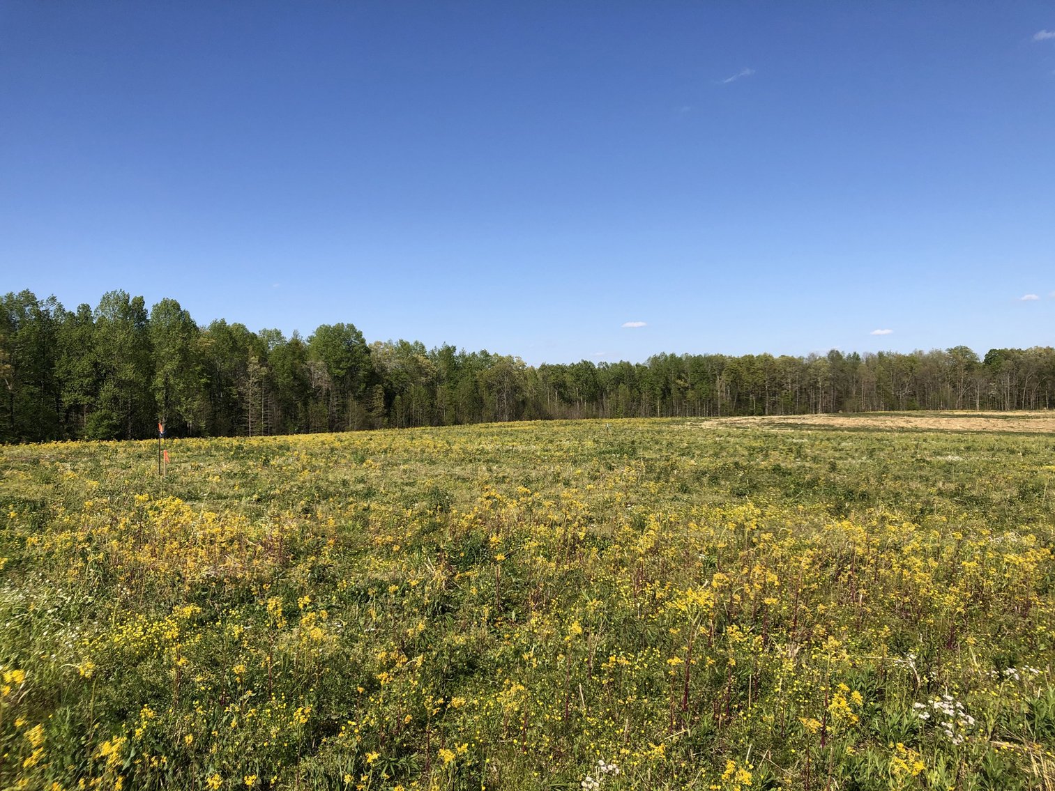 Image for Tract #3 Espy Road, Manchester