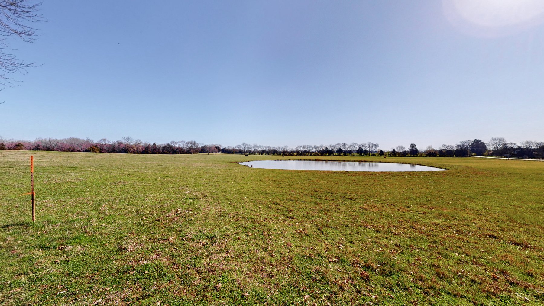 Image for 1175 Unionville Deason Road, Shelbyville (Unionville Area)