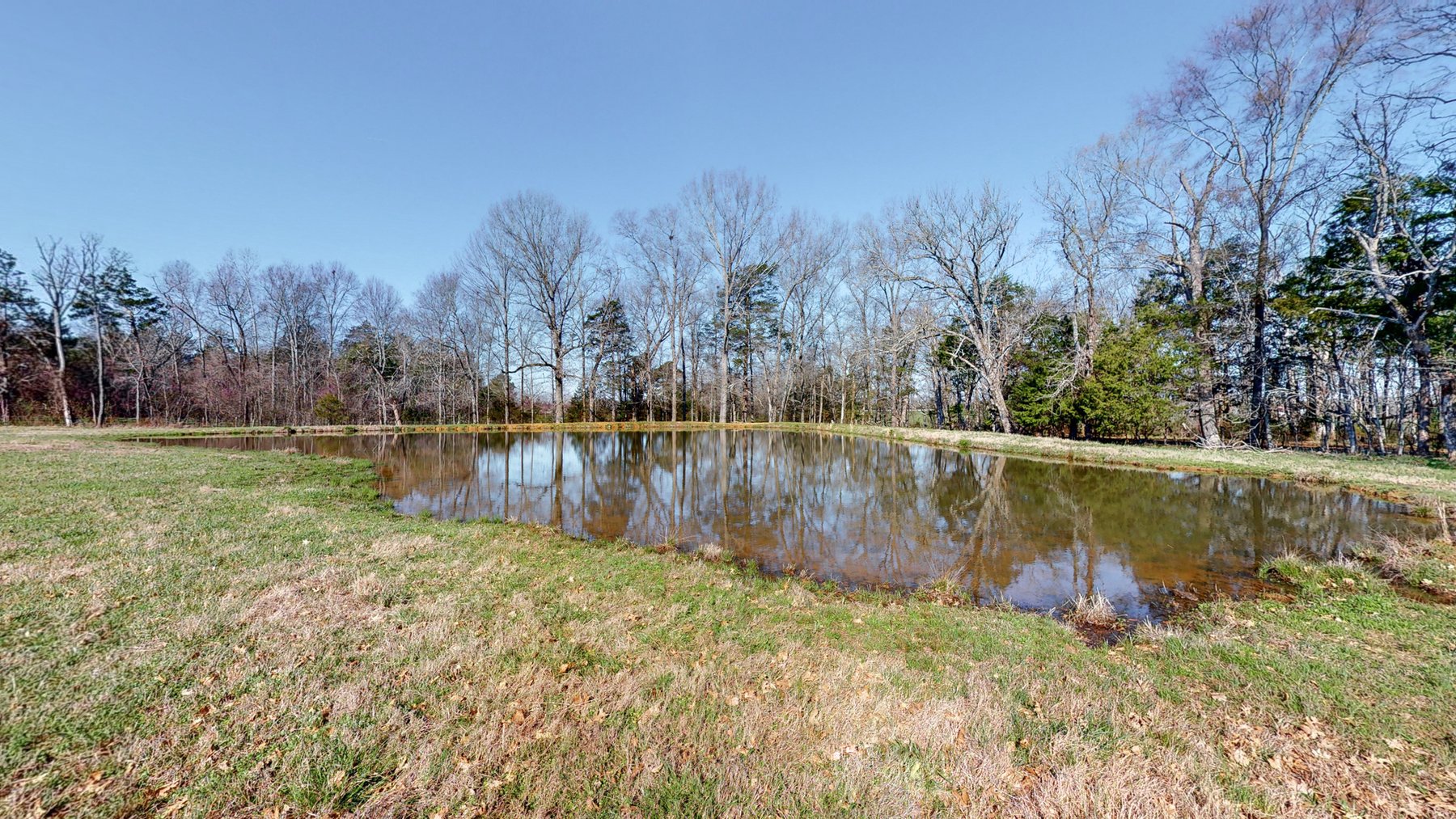 Image for 1175 Unionville Deason Road, Shelbyville (Unionville Area)