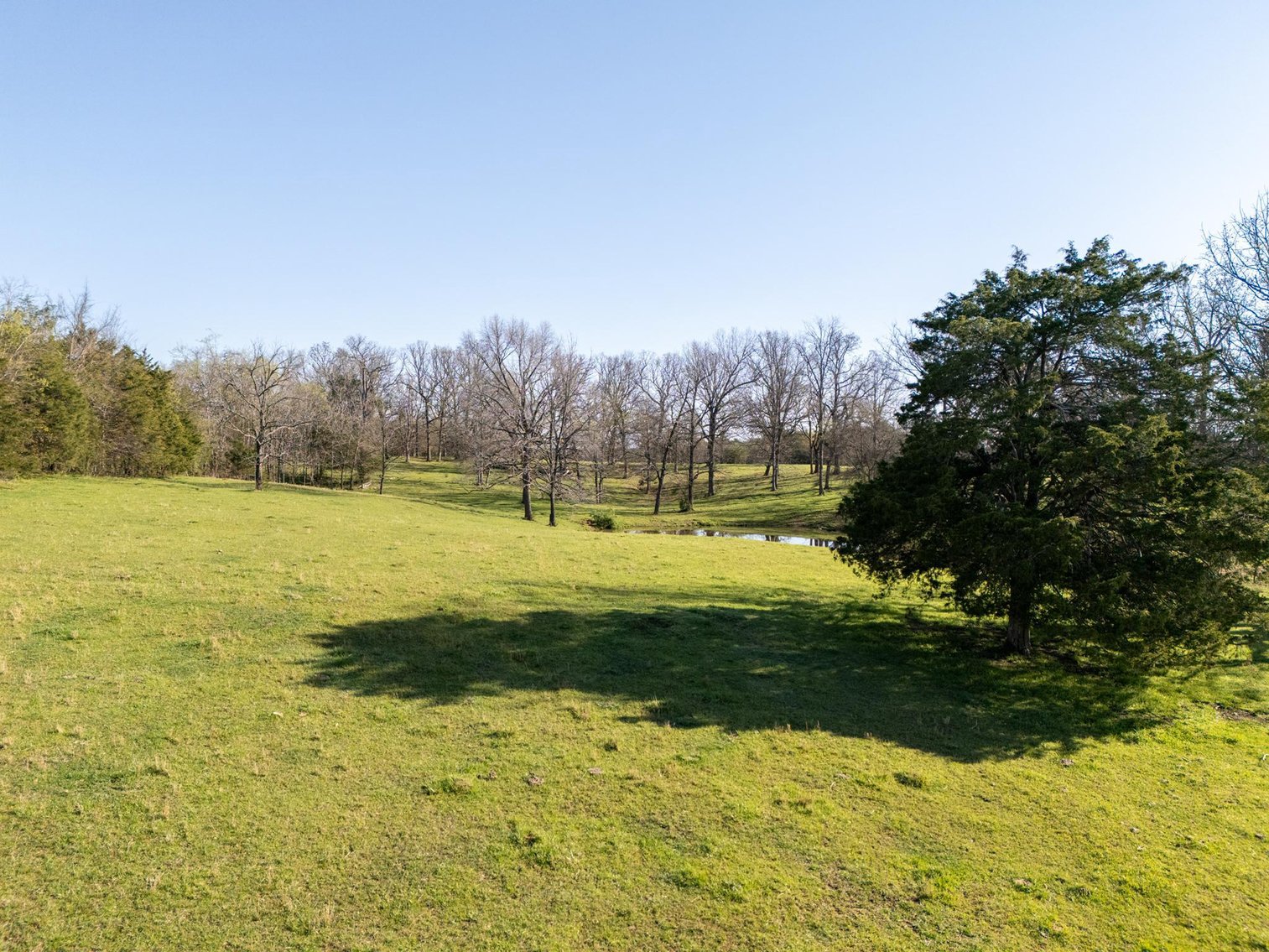 Image for Vincion Road, Murfreesboro