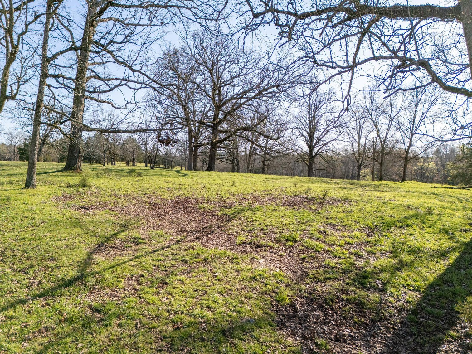 Image for Vincion Road, Murfreesboro