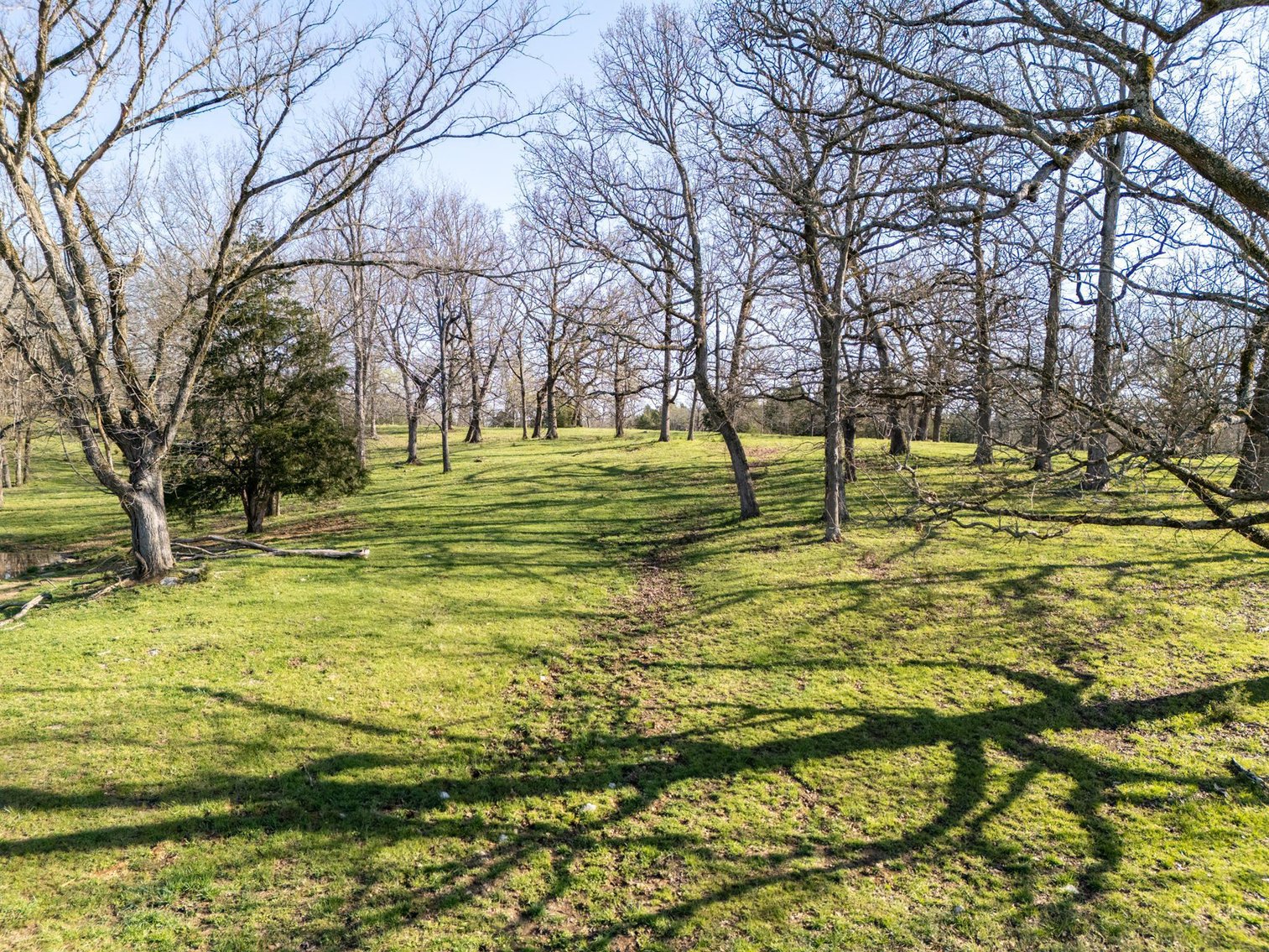 Image for Vincion Road, Murfreesboro