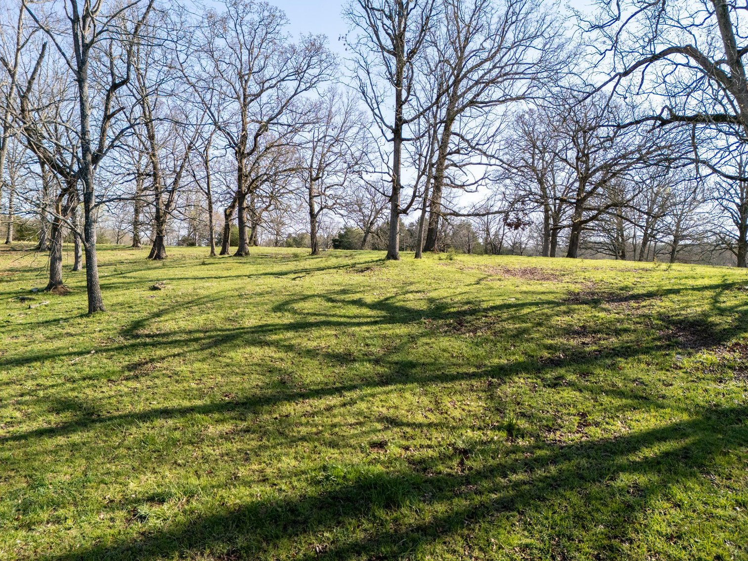 Image for Vincion Road, Murfreesboro