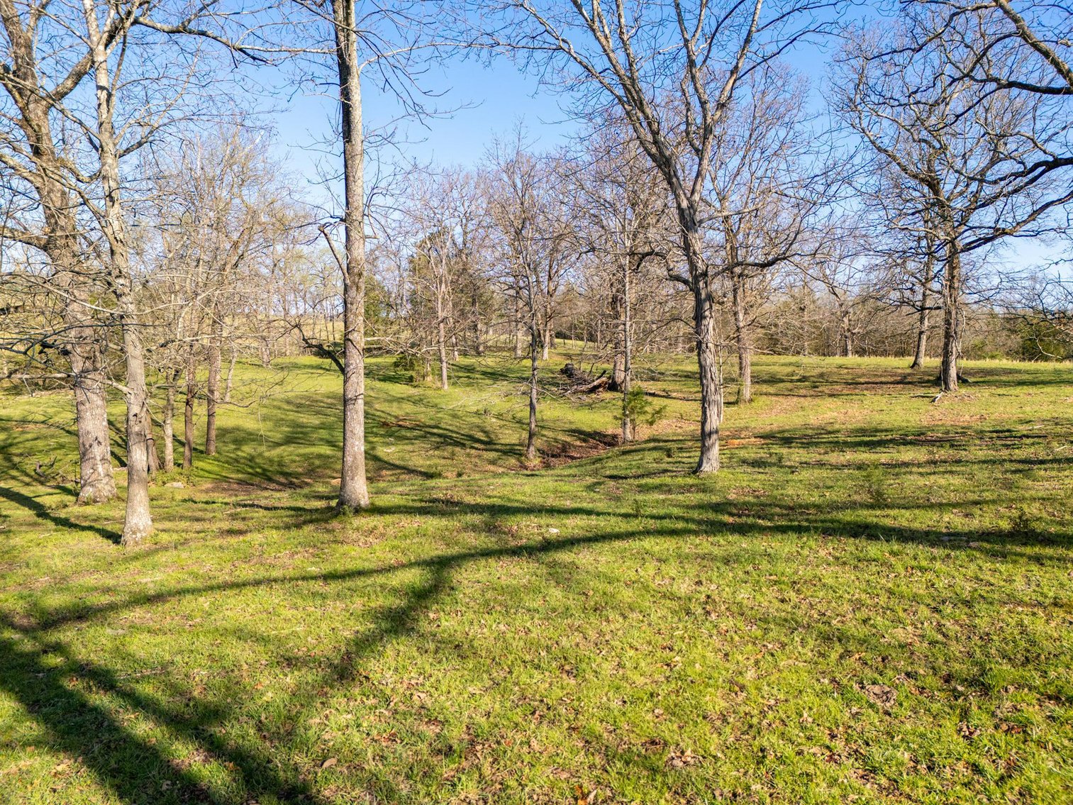 Image for Vincion Road, Murfreesboro