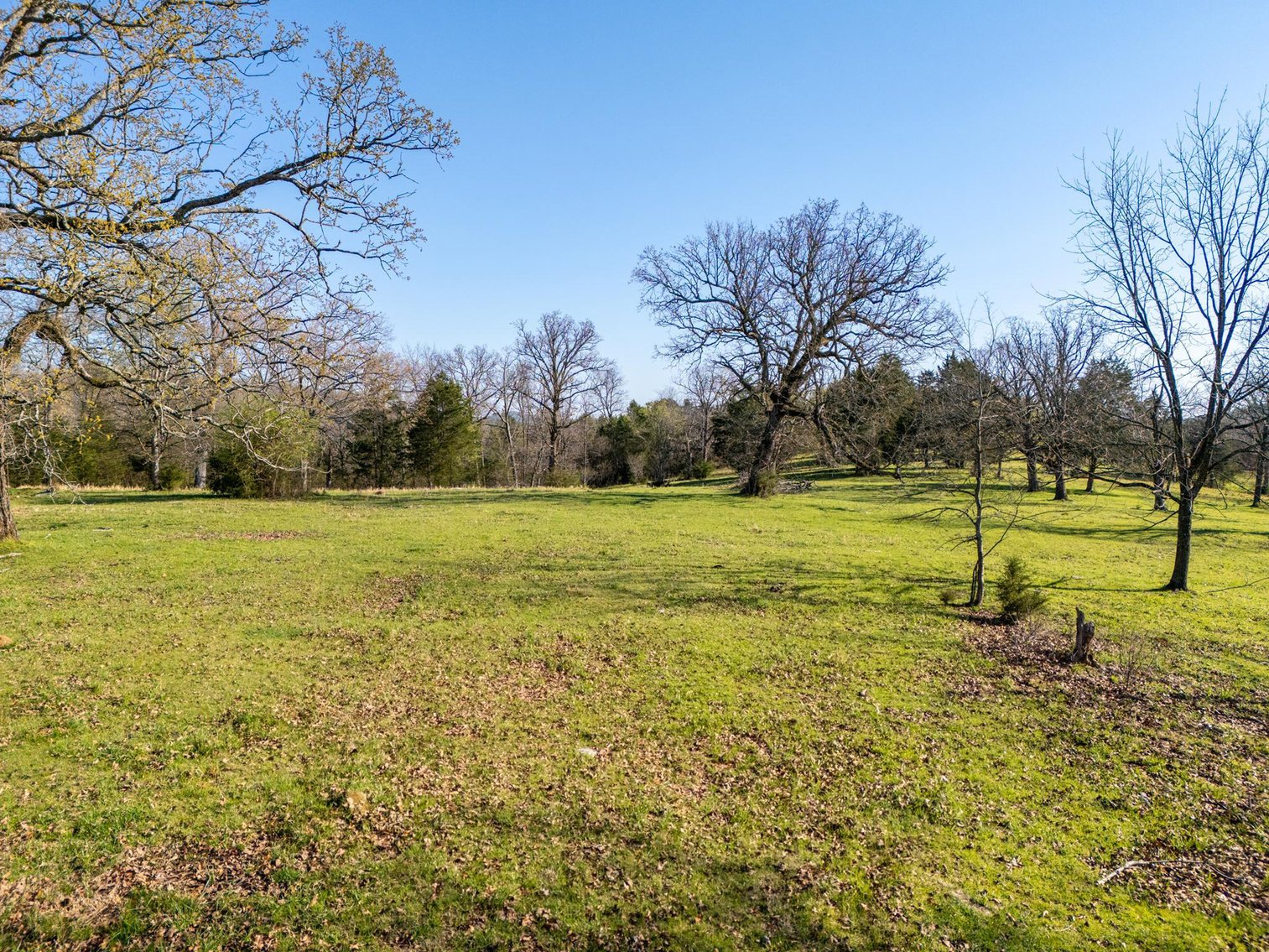 Image for Vincion Road, Murfreesboro