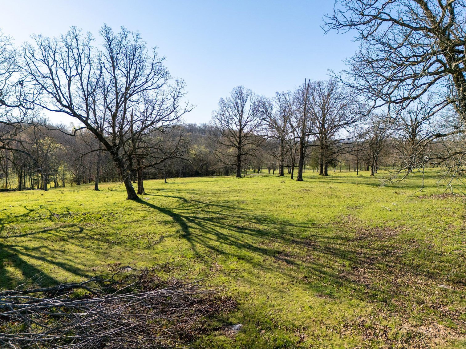 Image for Vincion Road, Murfreesboro