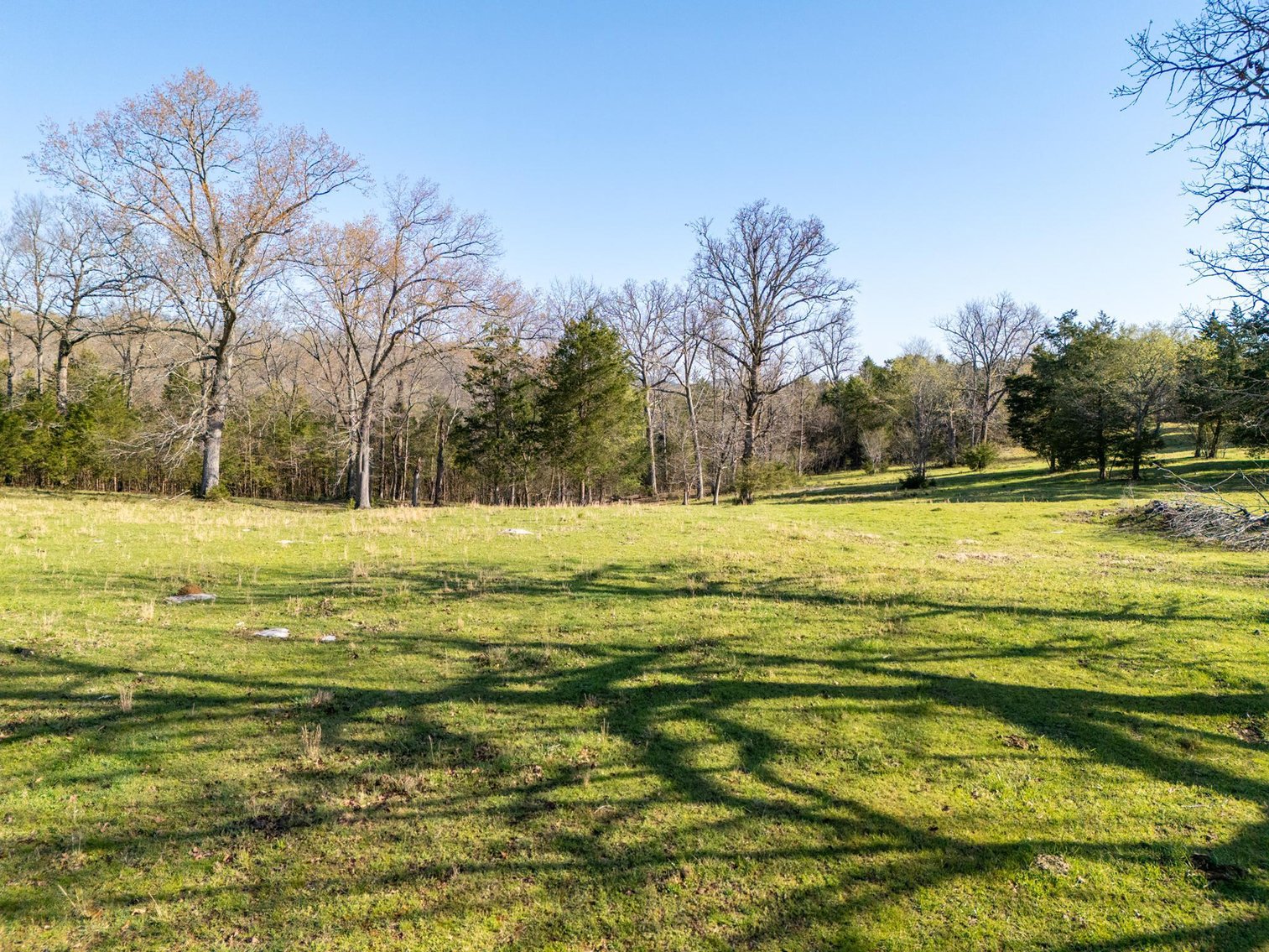 Image for Vincion Road, Murfreesboro