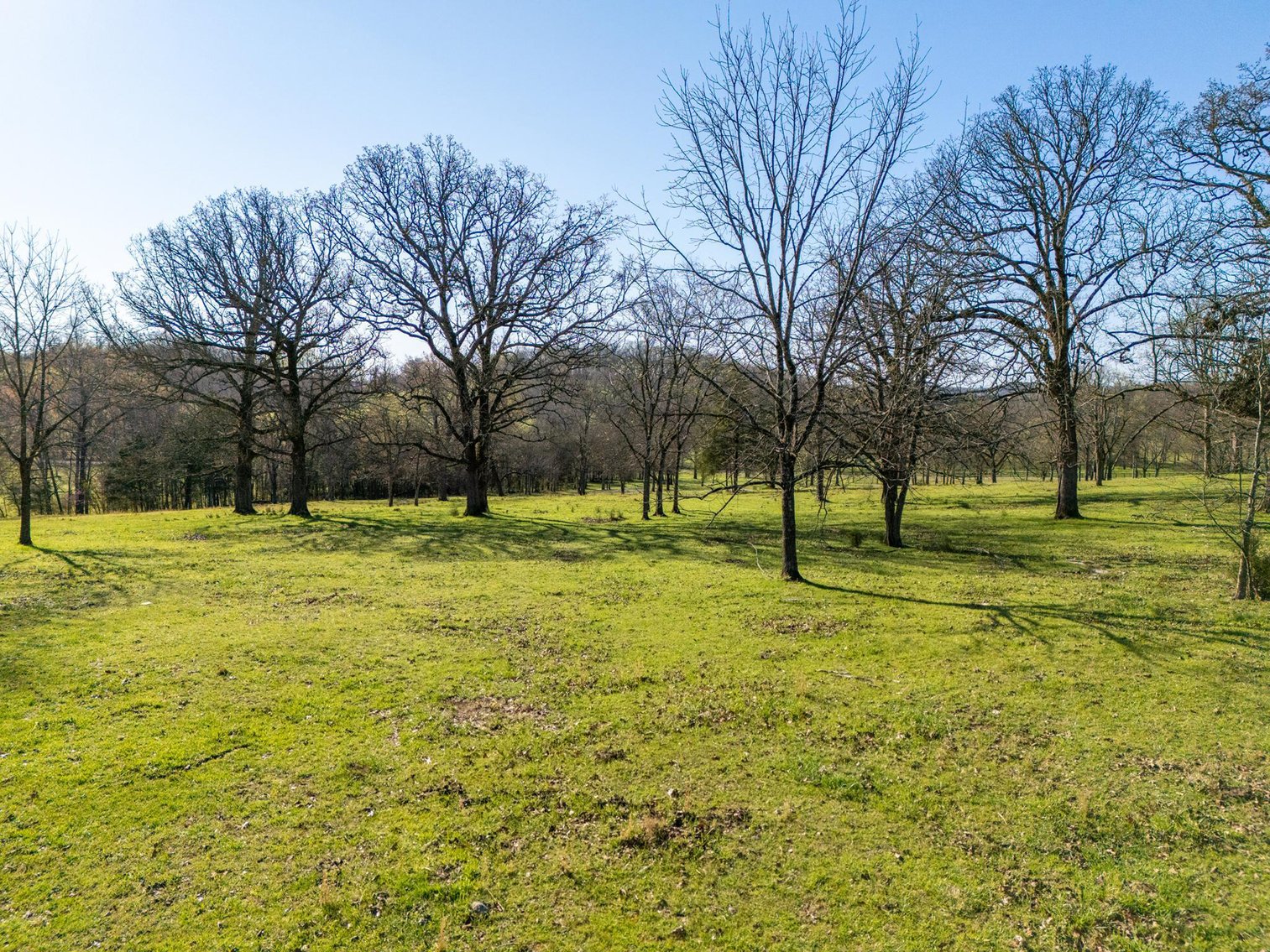 Image for Vincion Road, Murfreesboro