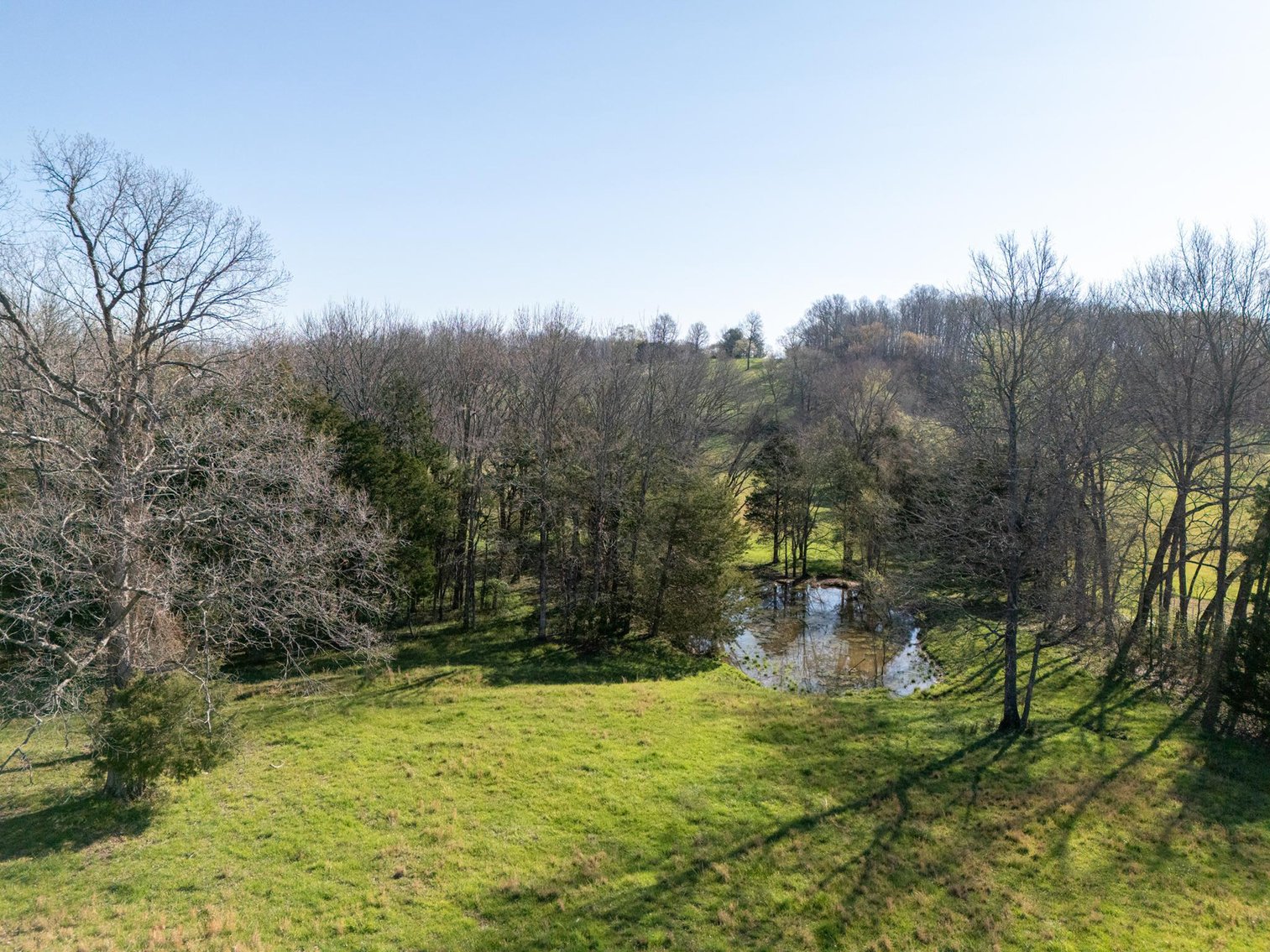 Image for Vincion Road, Murfreesboro