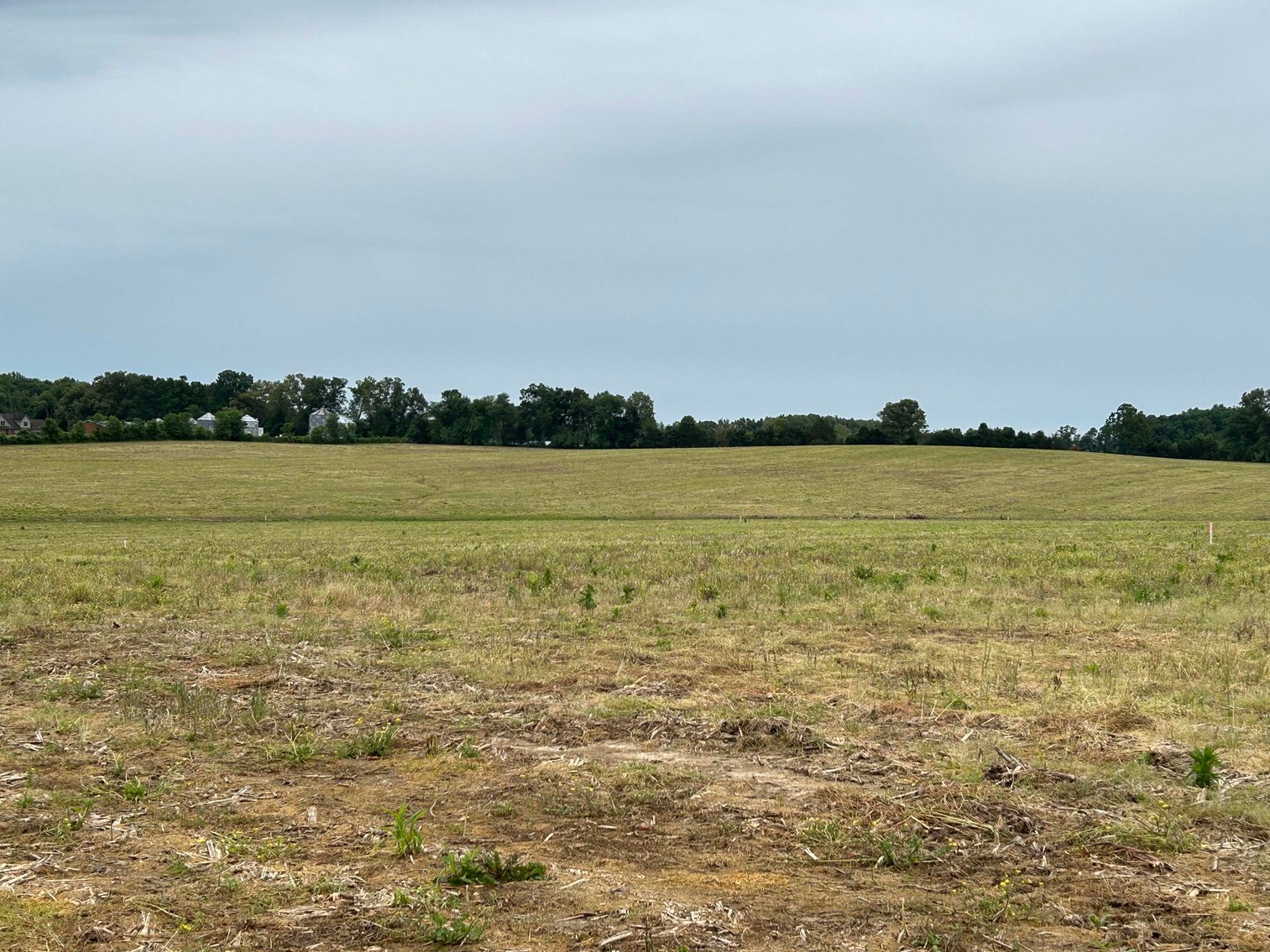 Image for Red Hill Road, Woodbury