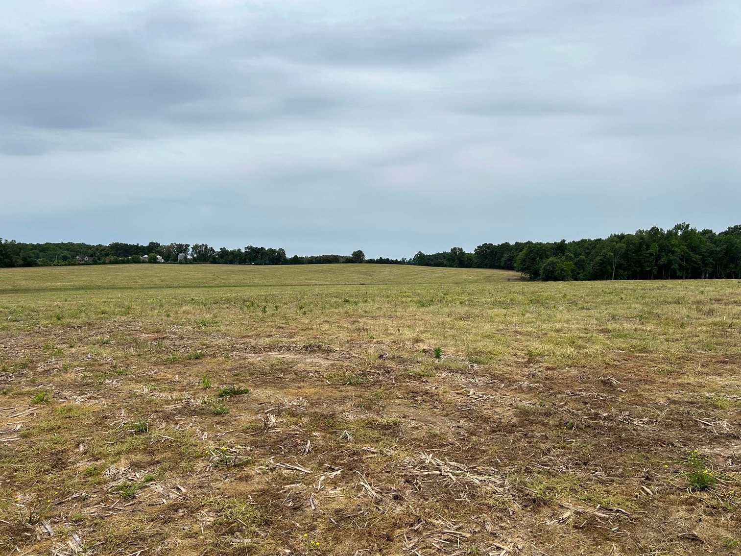 Image for Red Hill Road, Woodbury