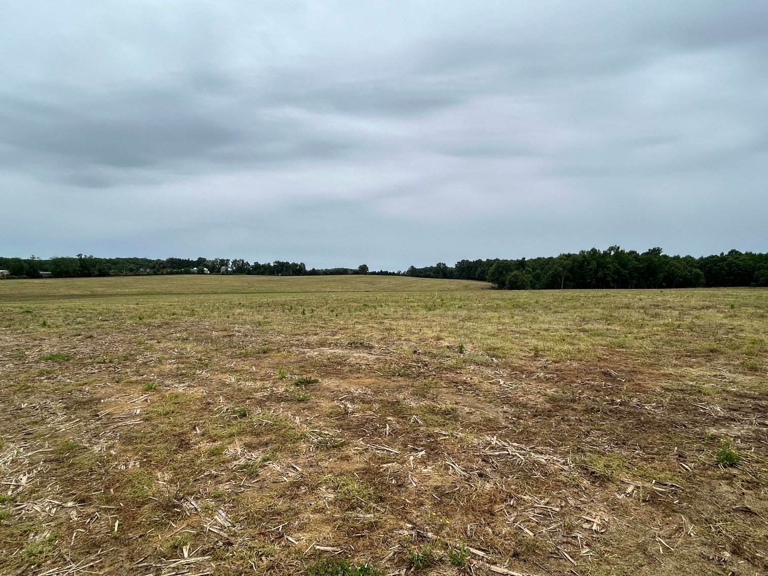 Image for Red Hill Road, Woodbury