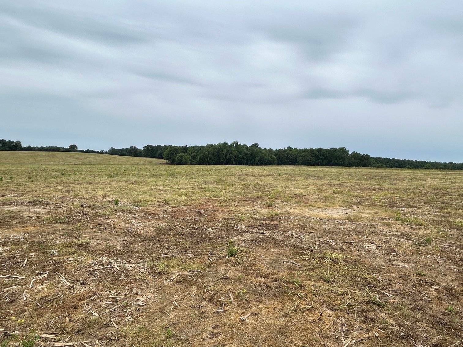 Image for Red Hill Road, Woodbury