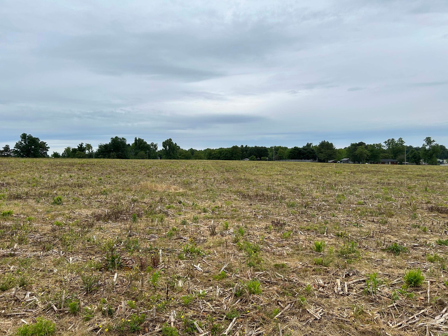 Image for Red Hill Road, Woodbury