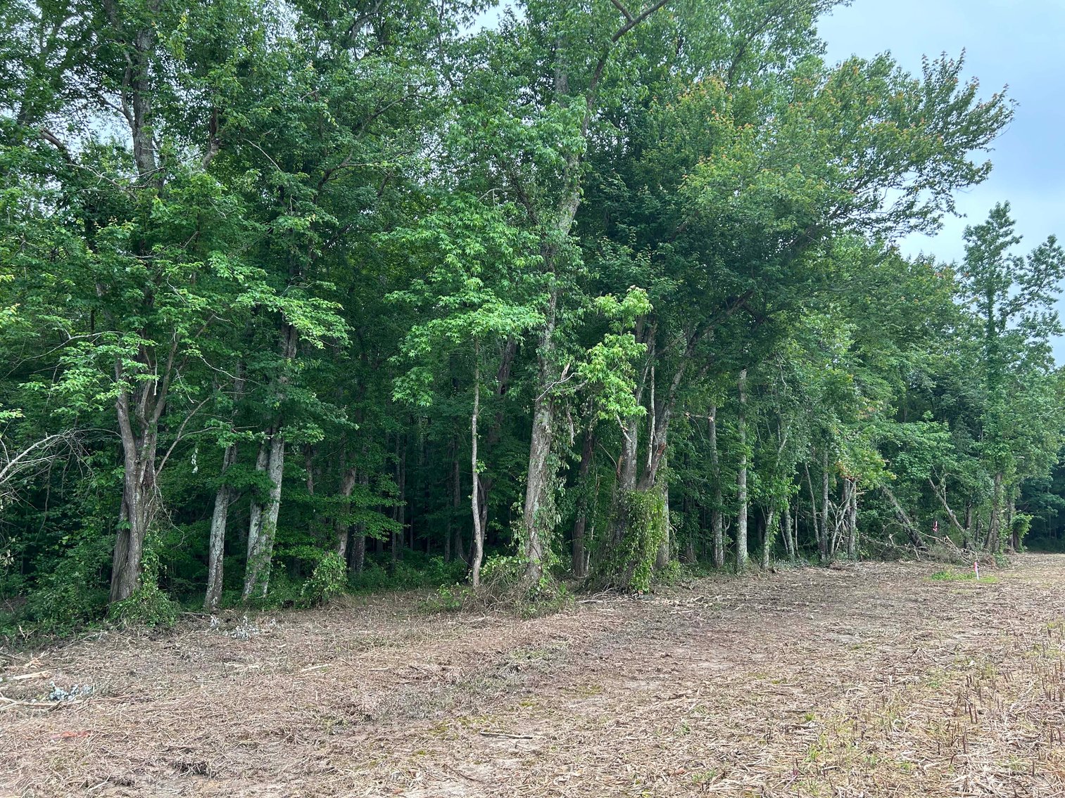 Image for Red Hill Road, Woodbury