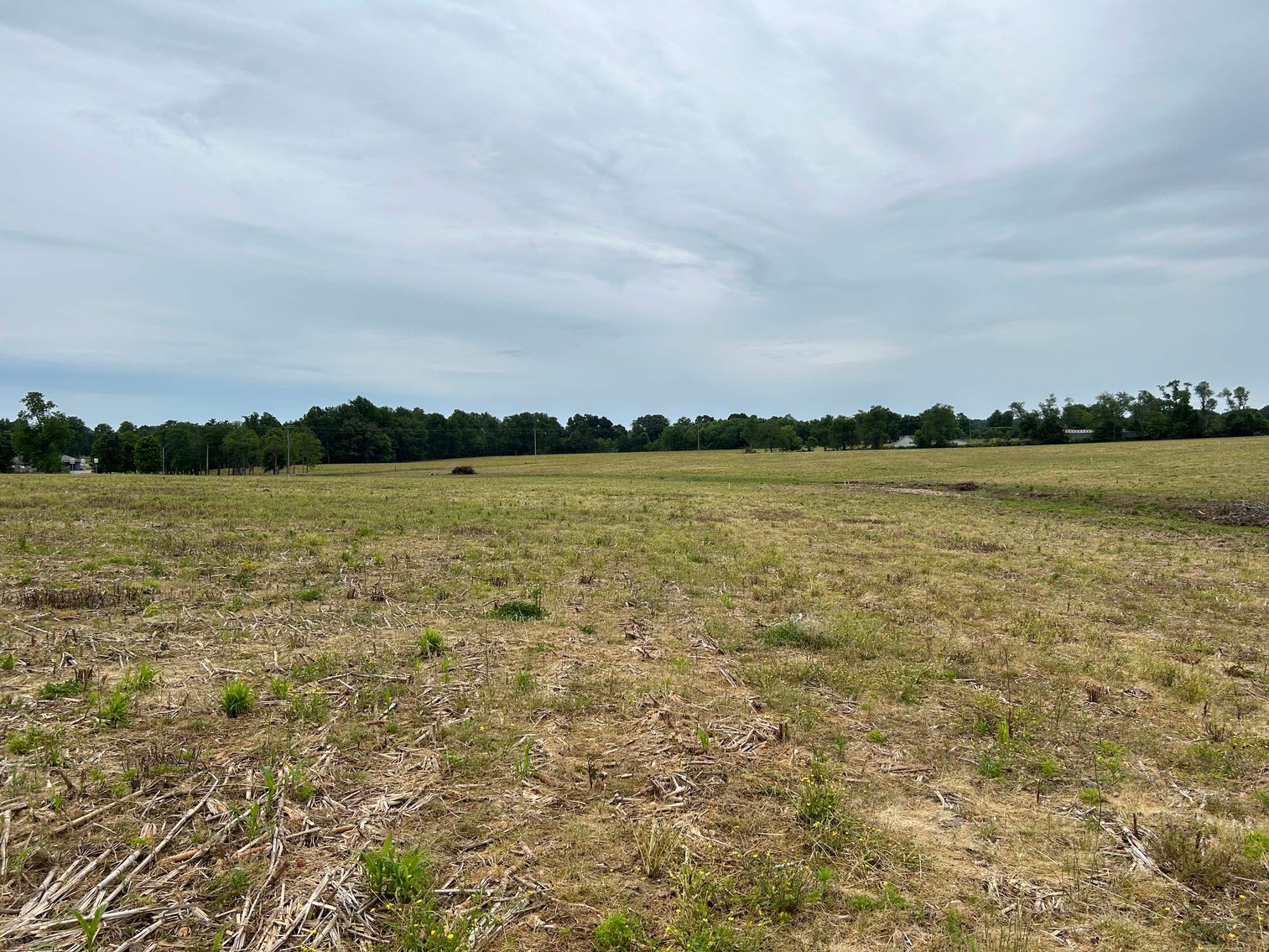 Image for Red Hill Road, Woodbury