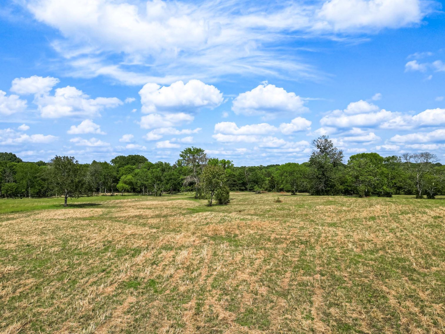 Image for Tract 3 Thompson Road, Murfreesboro