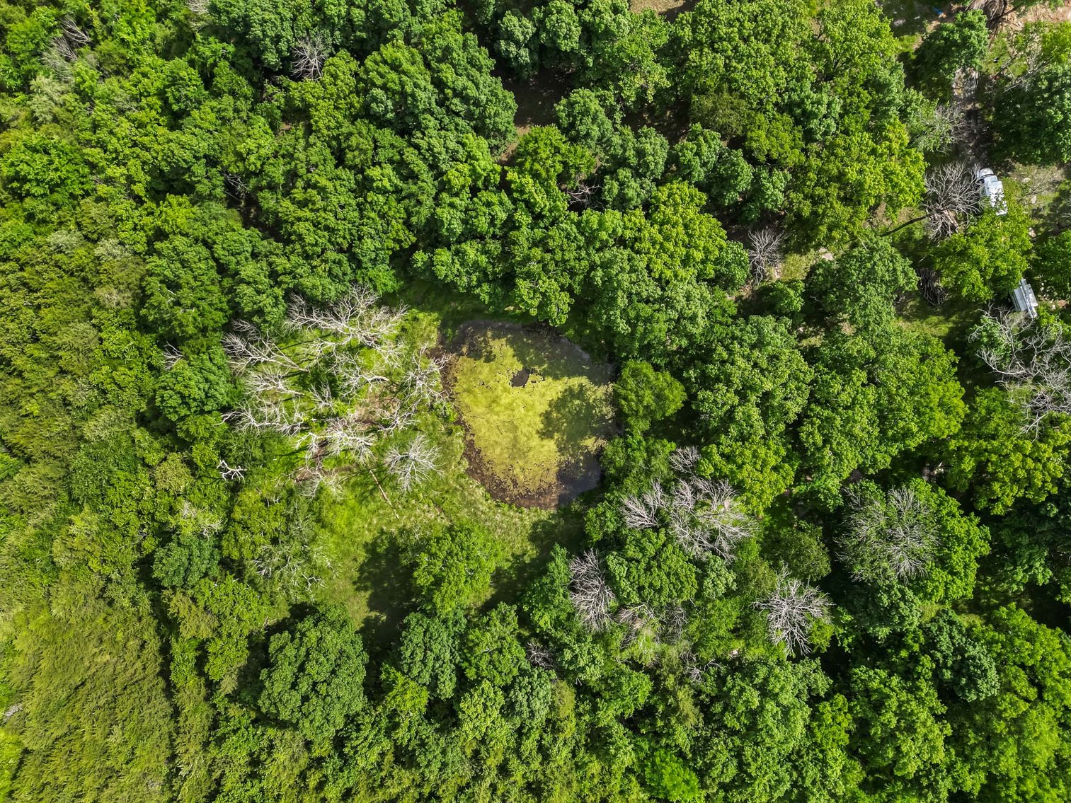 Image for Tract 3 Thompson Road, Murfreesboro