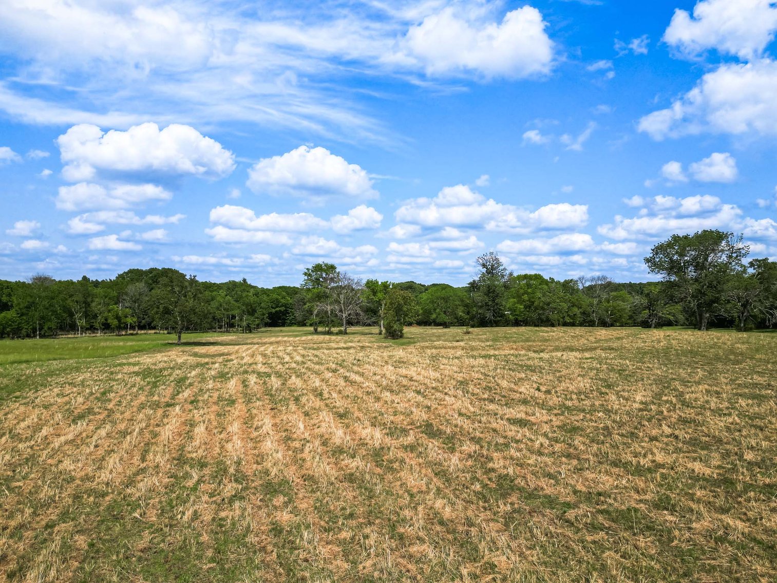 Image for Tract 3 Thompson Road, Murfreesboro
