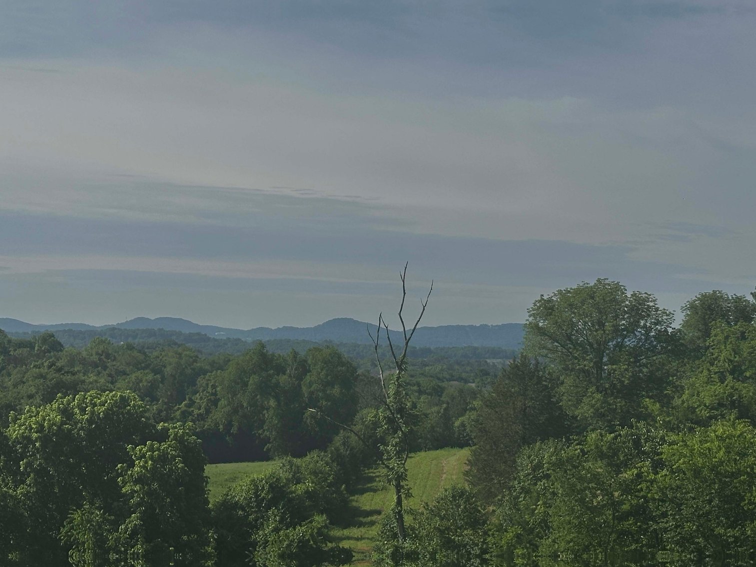 Image for 6278 Pettus Road, Antioch