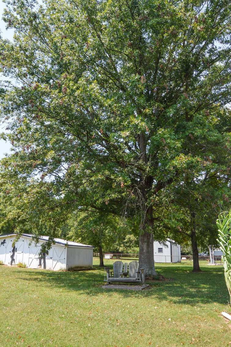 Image for 1704 S. Cannon Boulevard, Shelbyville