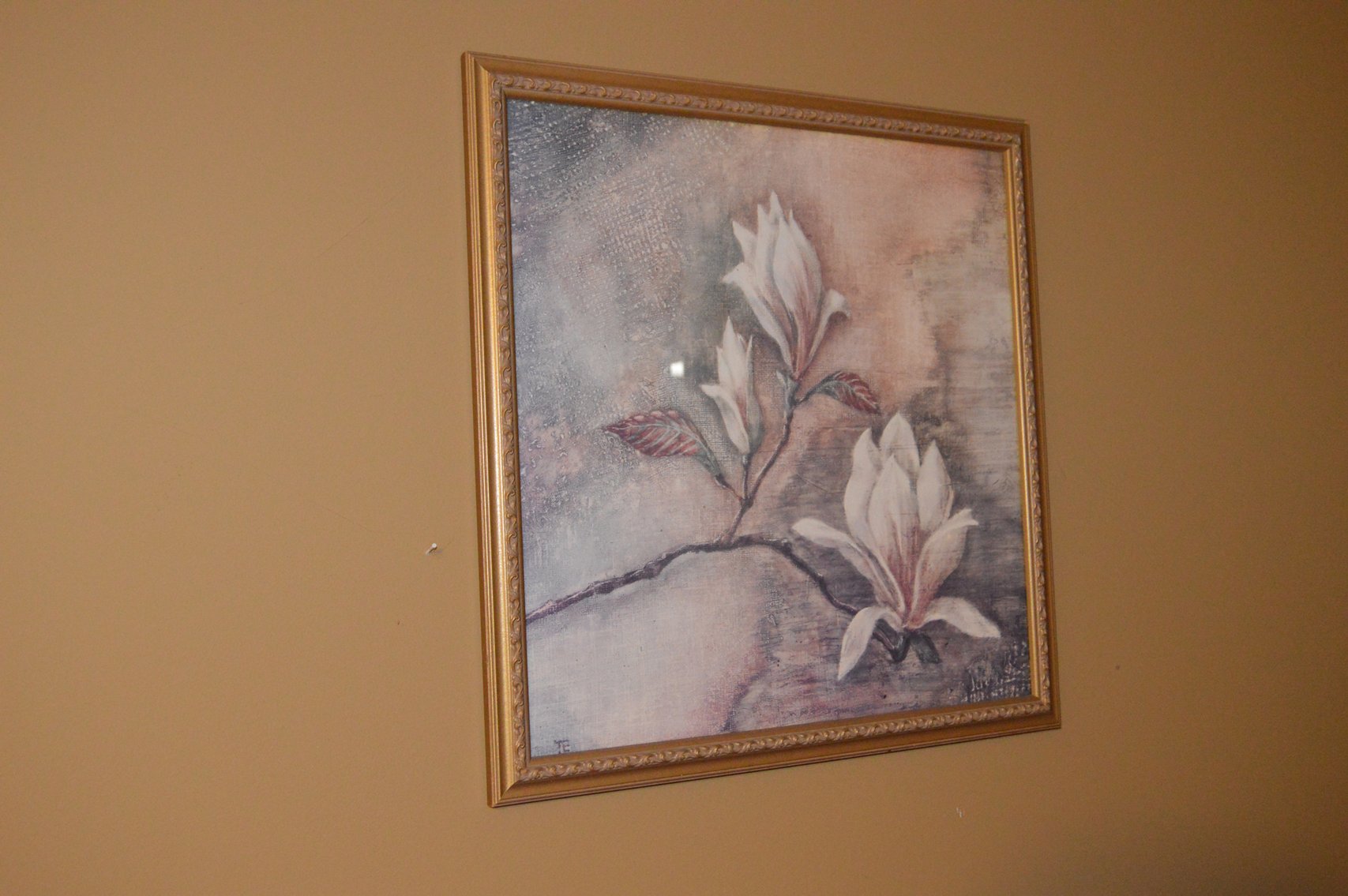 Image for 1704 S. Cannon Boulevard, Shelbyville