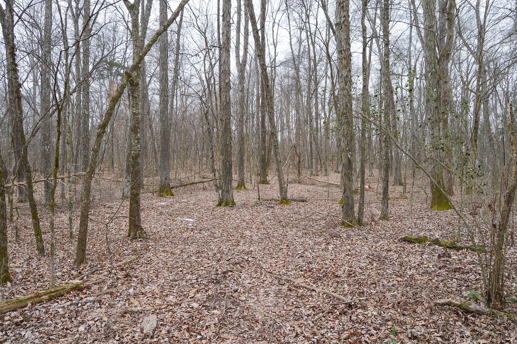 Image for 447 Pepper Hill Road, Bell Buckle