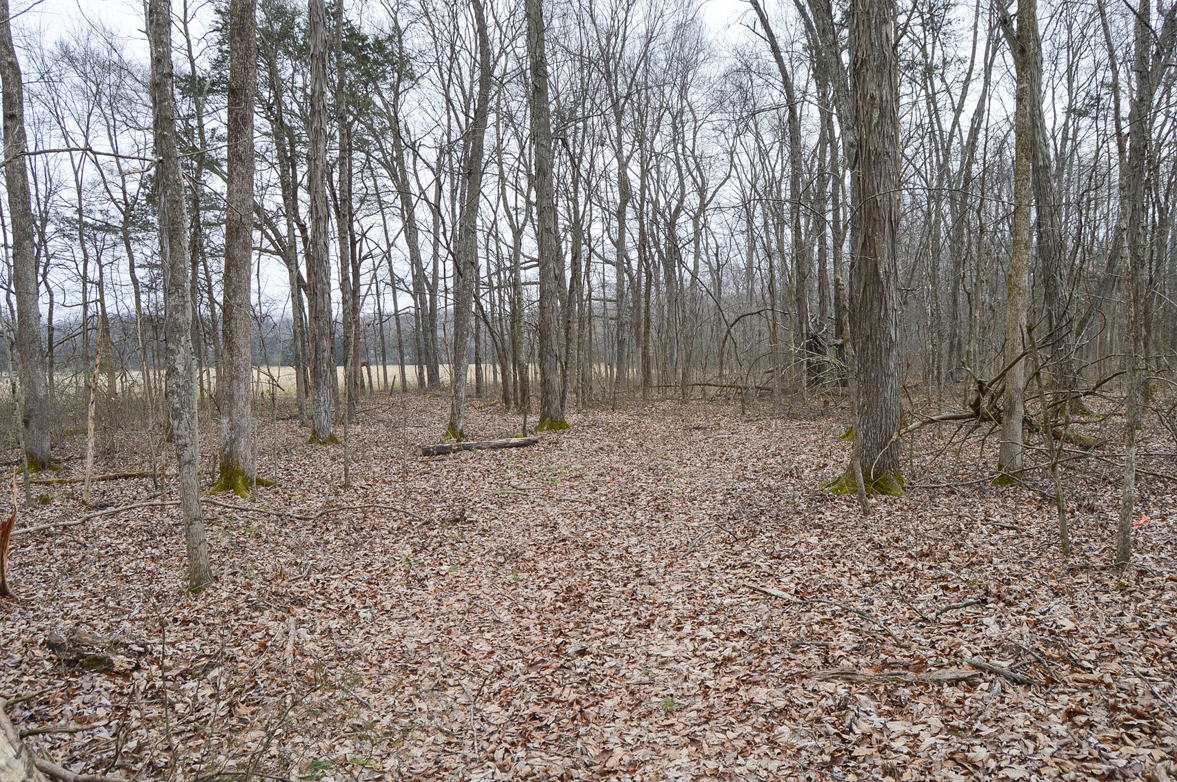 Image for 447 Pepper Hill Road, Bell Buckle