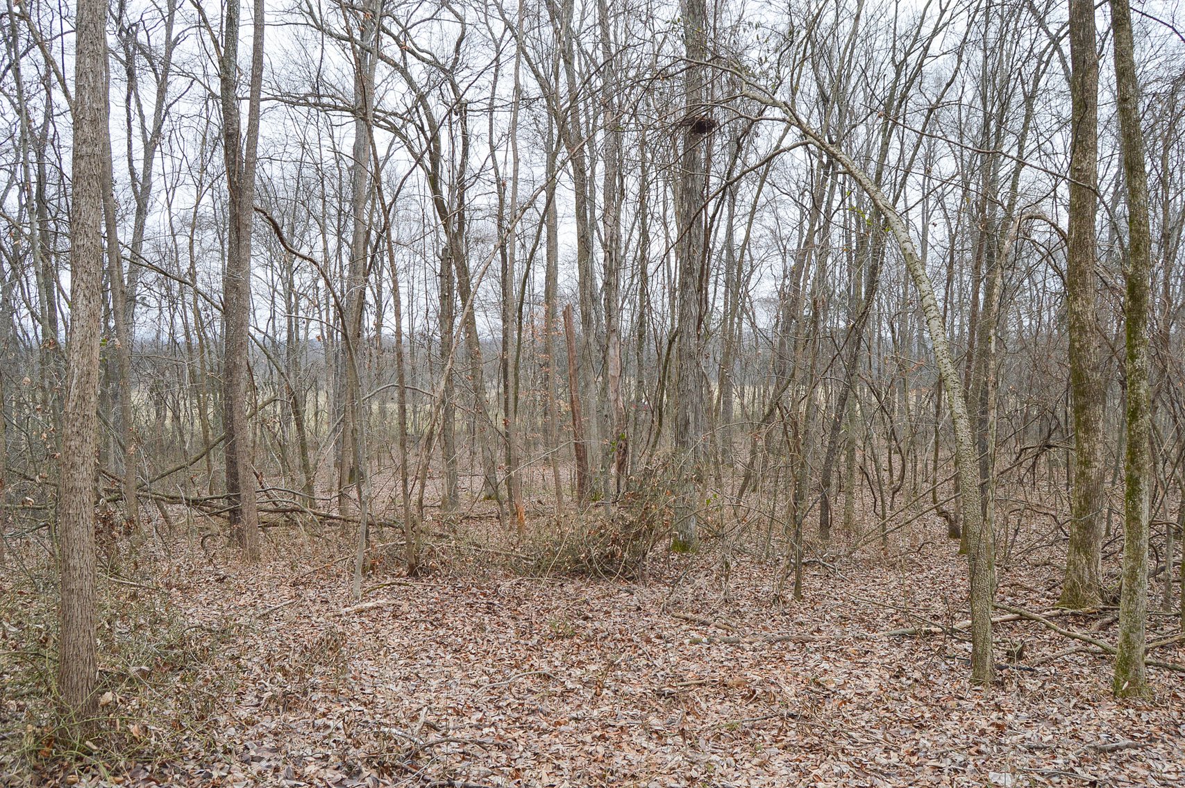 Image for 447 Pepper Hill Road, Bell Buckle