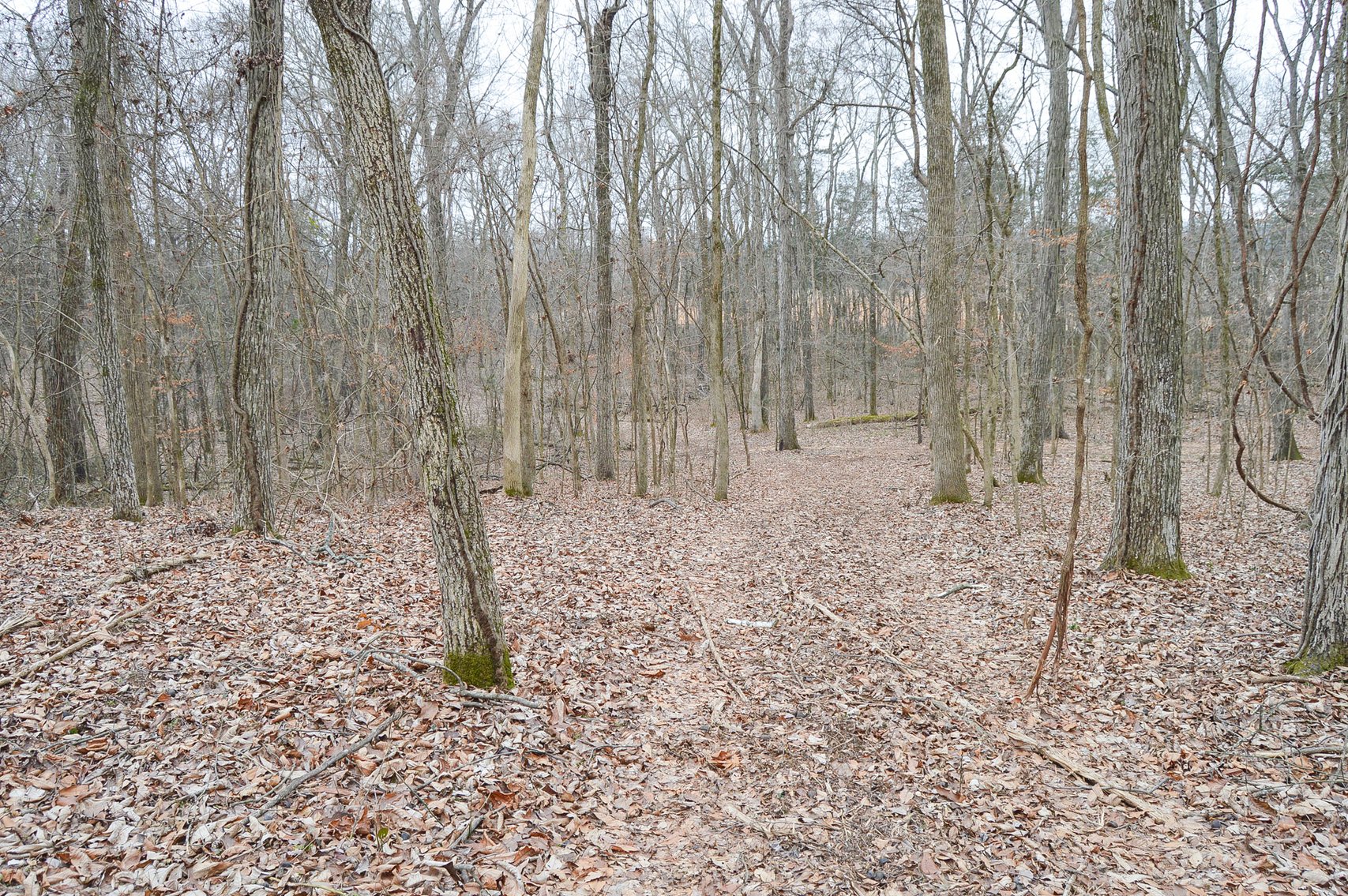 Image for 447 Pepper Hill Road, Bell Buckle