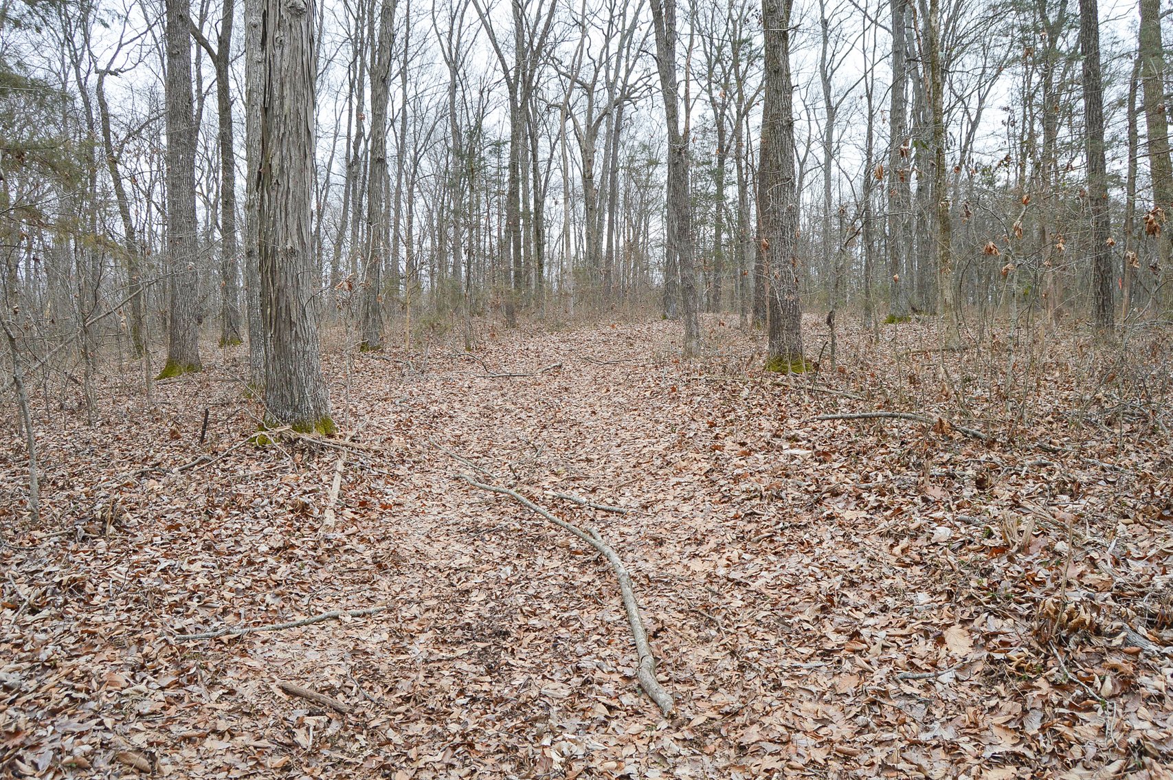 Image for 447 Pepper Hill Road, Bell Buckle