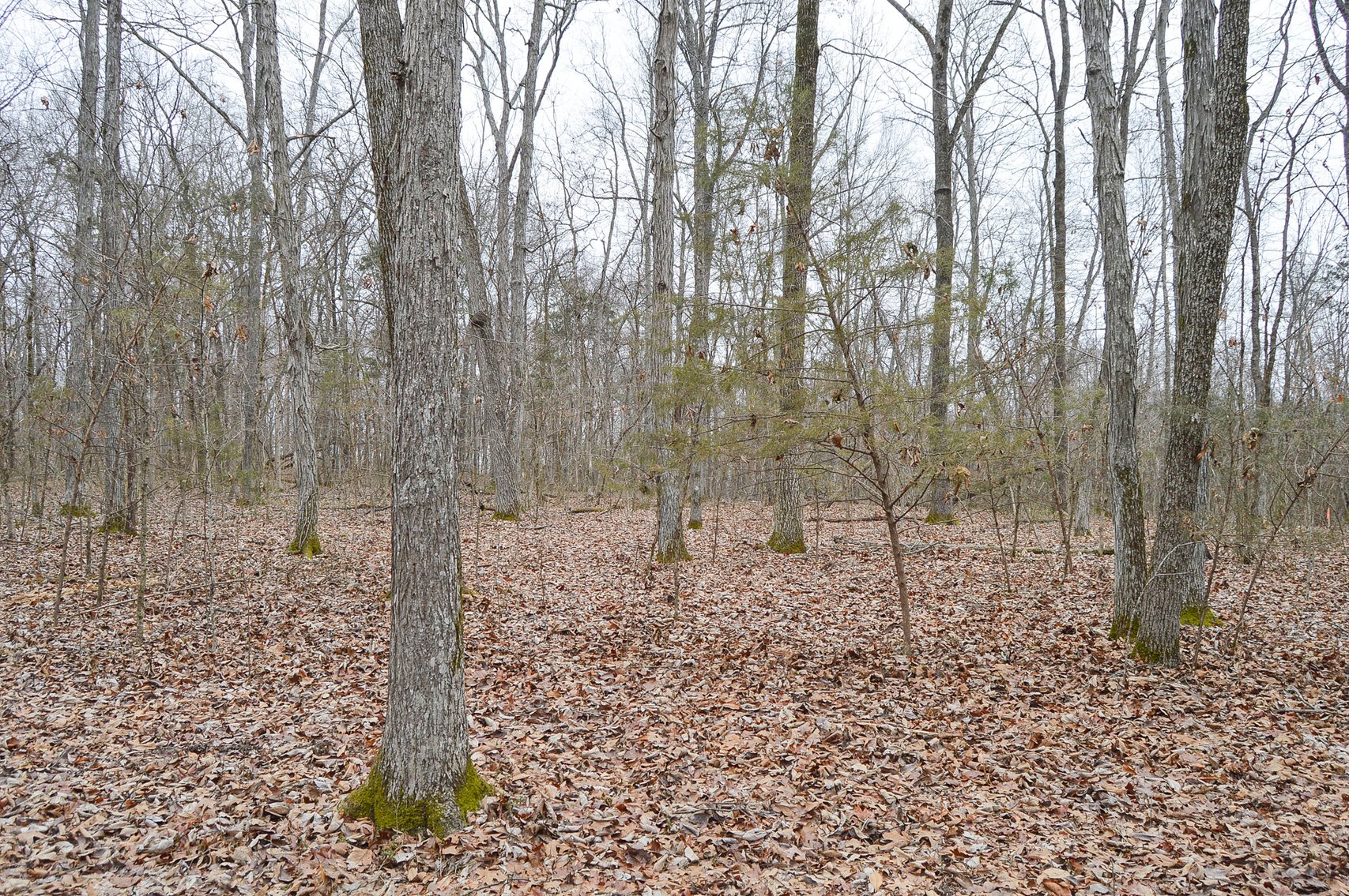 Image for 447 Pepper Hill Road, Bell Buckle