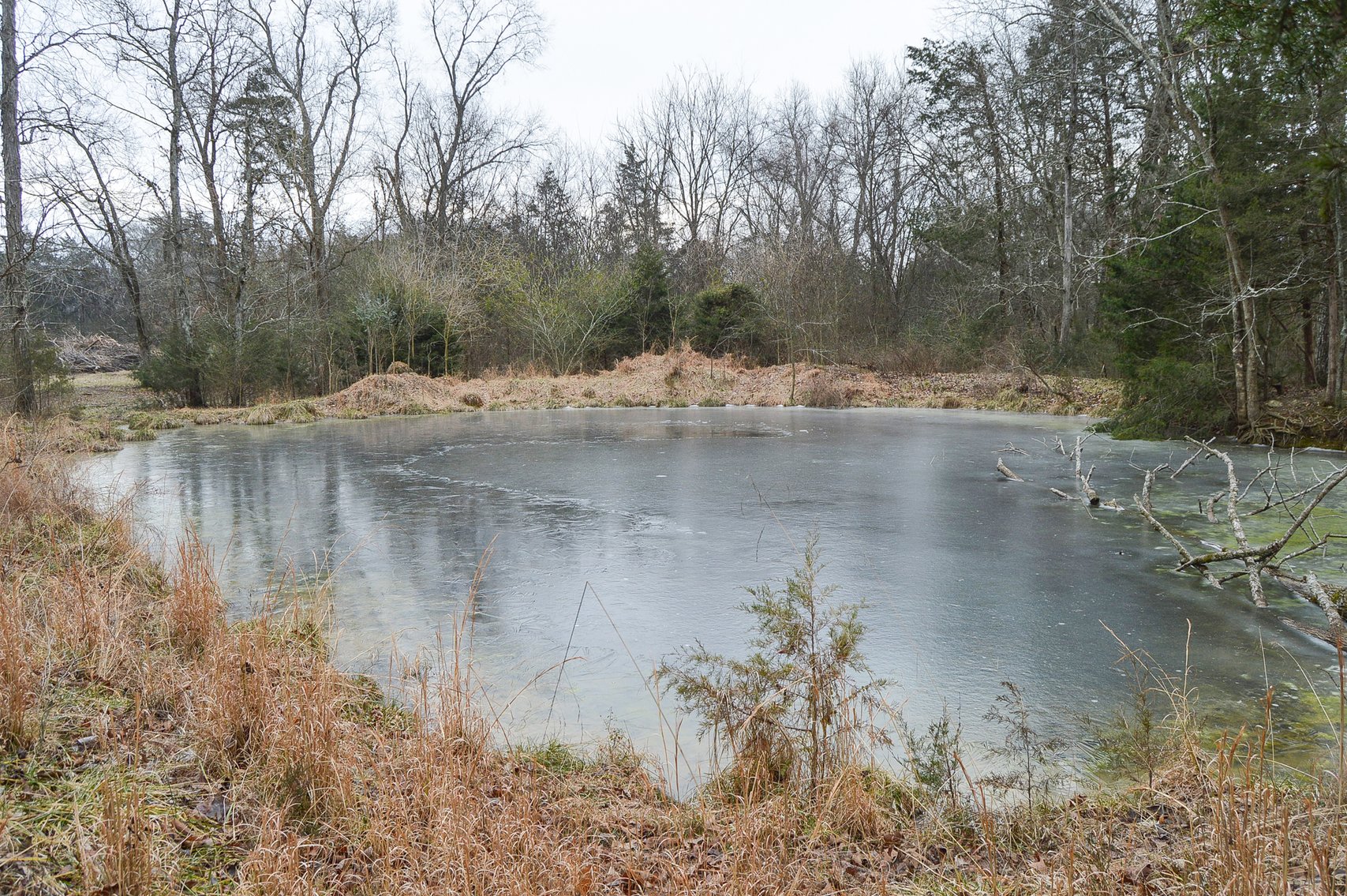 Image for 447 Pepper Hill Road, Bell Buckle