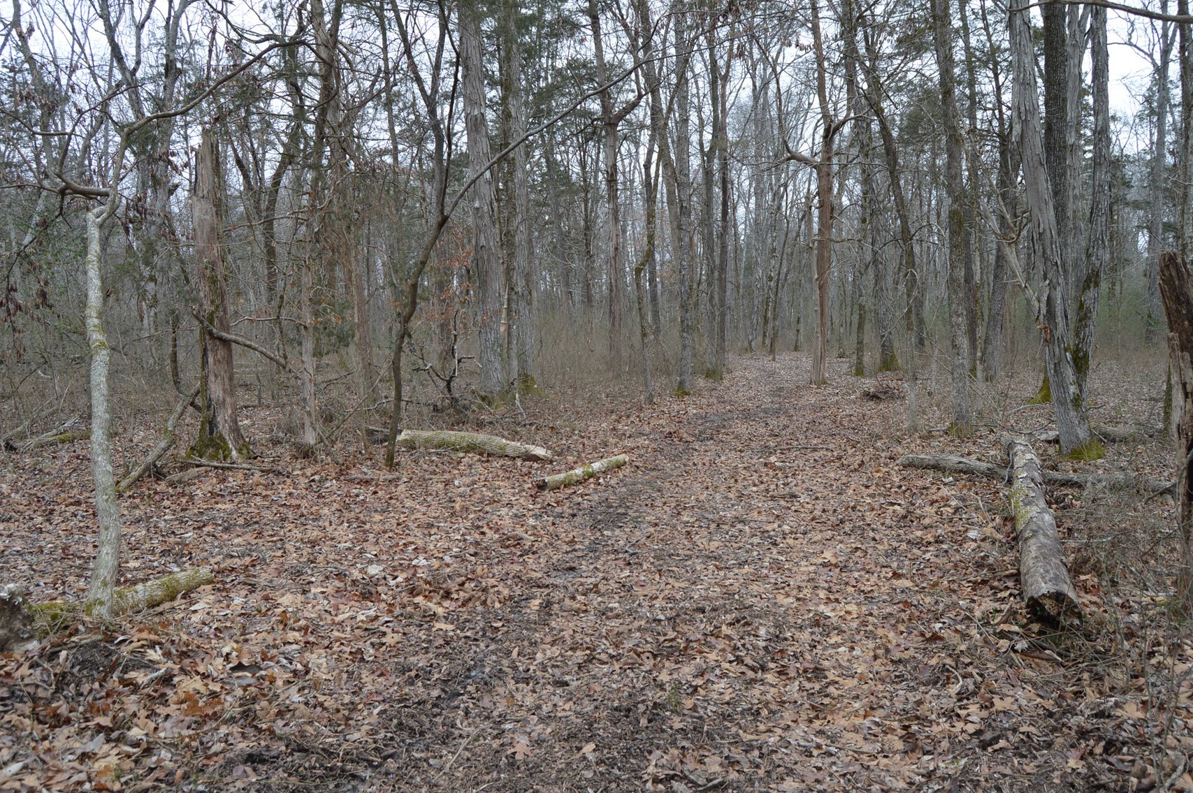 Image for 447 Pepper Hill Road, Bell Buckle