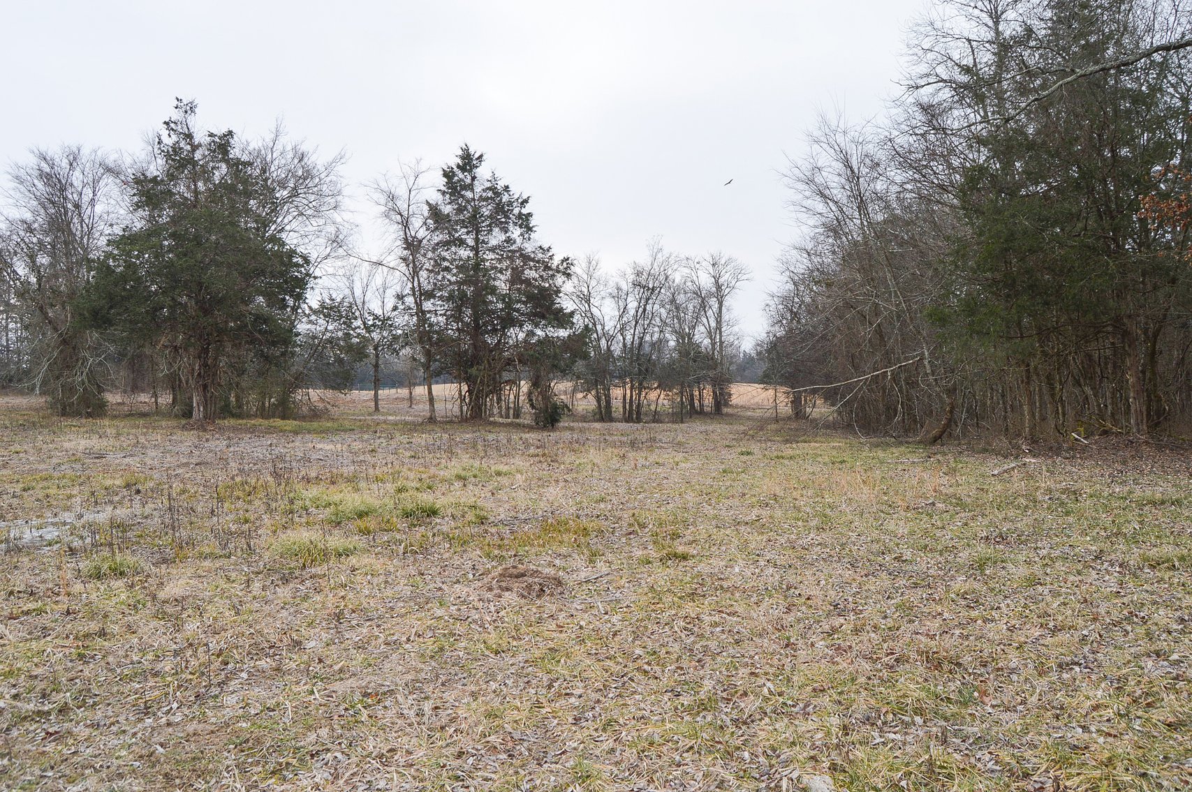 Image for 447 Pepper Hill Road, Bell Buckle