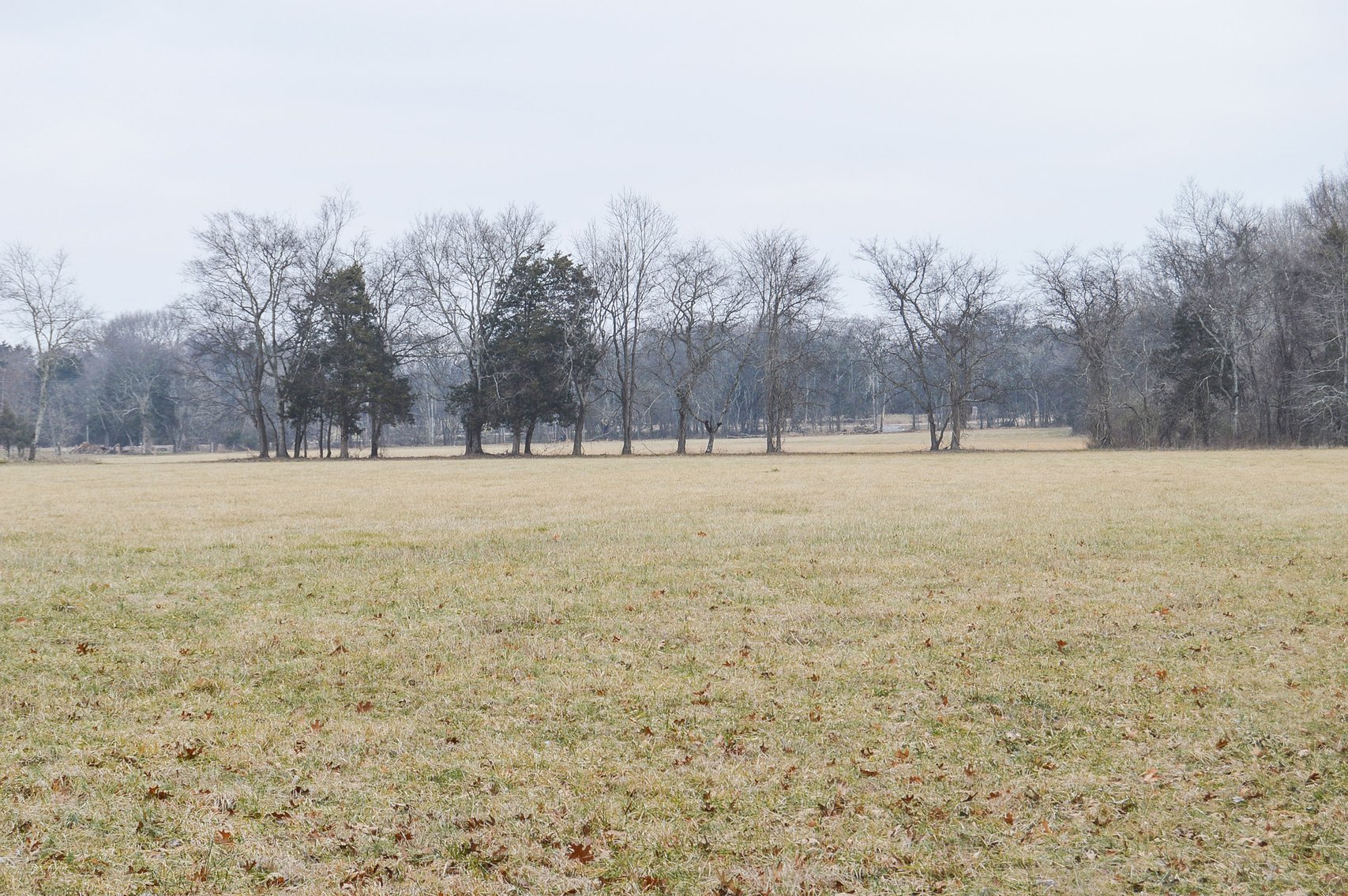 Image for 447 Pepper Hill Road, Bell Buckle